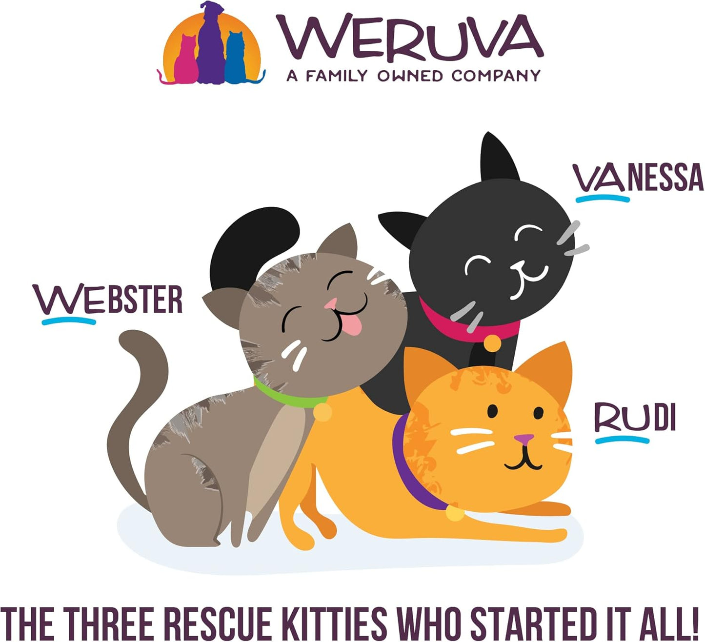 Weruva B.F.F. Play - Best Feline Friend Paté Lovers, Aw Yeah!, Paté Partay! Variety Pack, 3oz Pouch (Pack of 12)