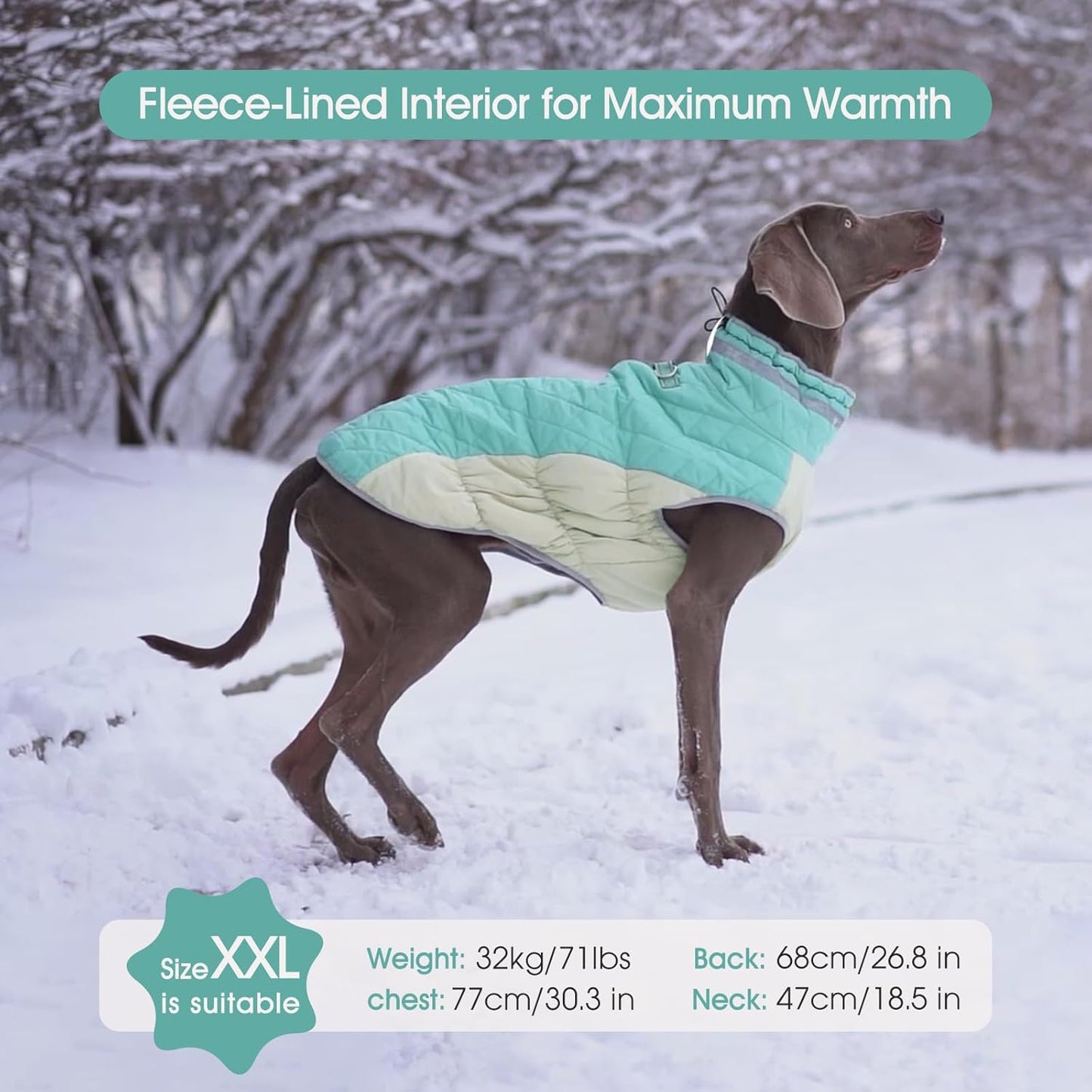 FUAMEY Dog Coat for Small Dogs,Waterproof Dog Winter Jacket with Harness Built in Puppy Cold Weather Coats Reflective Pet Vest with Zipper Warm Fleece Dogs Snowsuit Windproof Mint Green XS