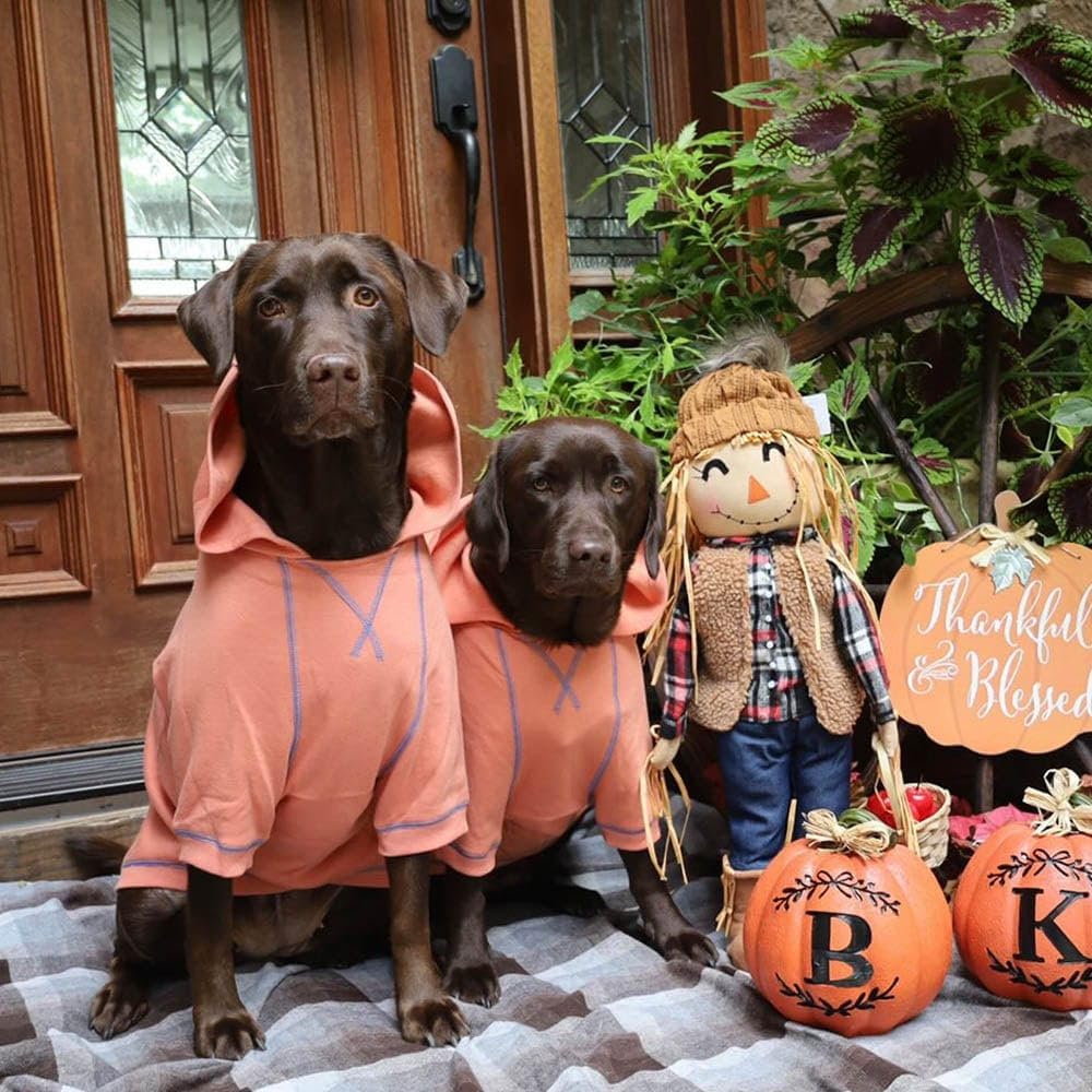 Blueberry Pet Hoodie – 14″ Soft Cotton‑Blend Winter Sweatshirt, Coral, Award‑Winning Small‑Dog Jersey