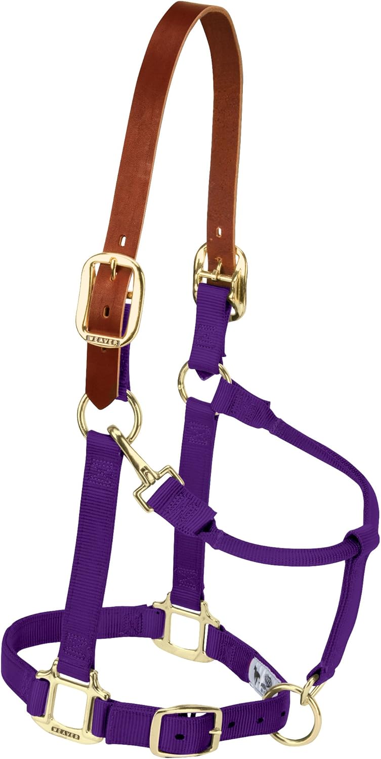 Weaver Equine Nylon Horse Halter, Triple-Ply Cheek Design, Original Non Adjustable Halters for Horses, Equine Tack,Average Size, Black