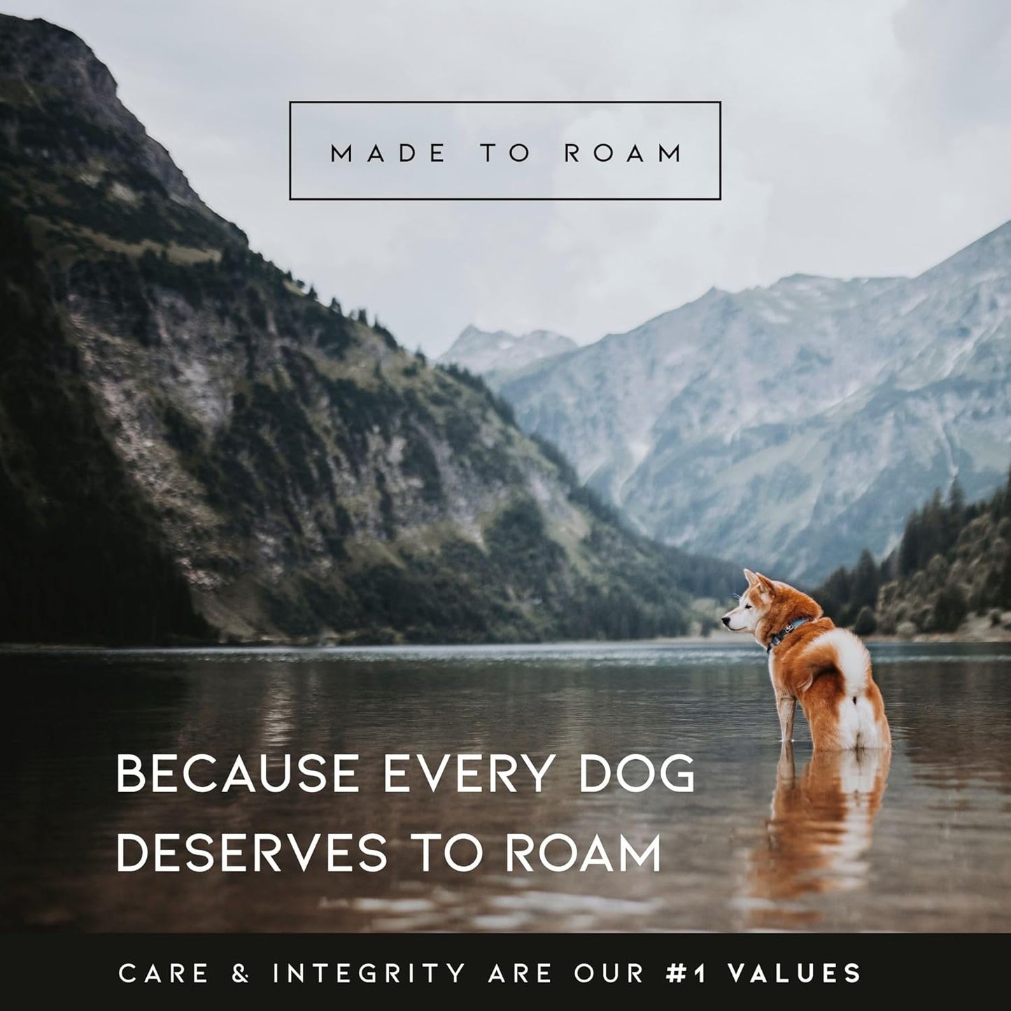 MADE TO ROAM Premium Explorer Harness - Y-Shaped Dog Harness with Adjustable Durable Nylon, Soft Padding, Metal Buckles and Leather Handle for Small, Medium, Large Dogs (Michigan Autumn, Size 4)