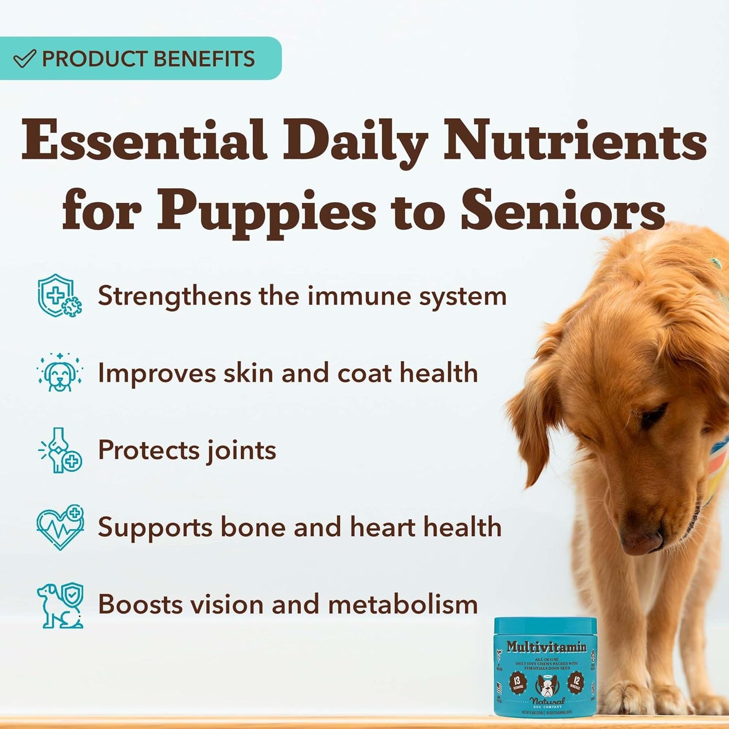 Natural Dog Company 25 in 1 Multivitamin Chews (180 Pcs) Dog Vitamins & Supplements, Peanut Butter & Bacon Flavor, Dogs, Supports Immune System, Antioxidant, Vitaminas para Perros, Multi Dog Families