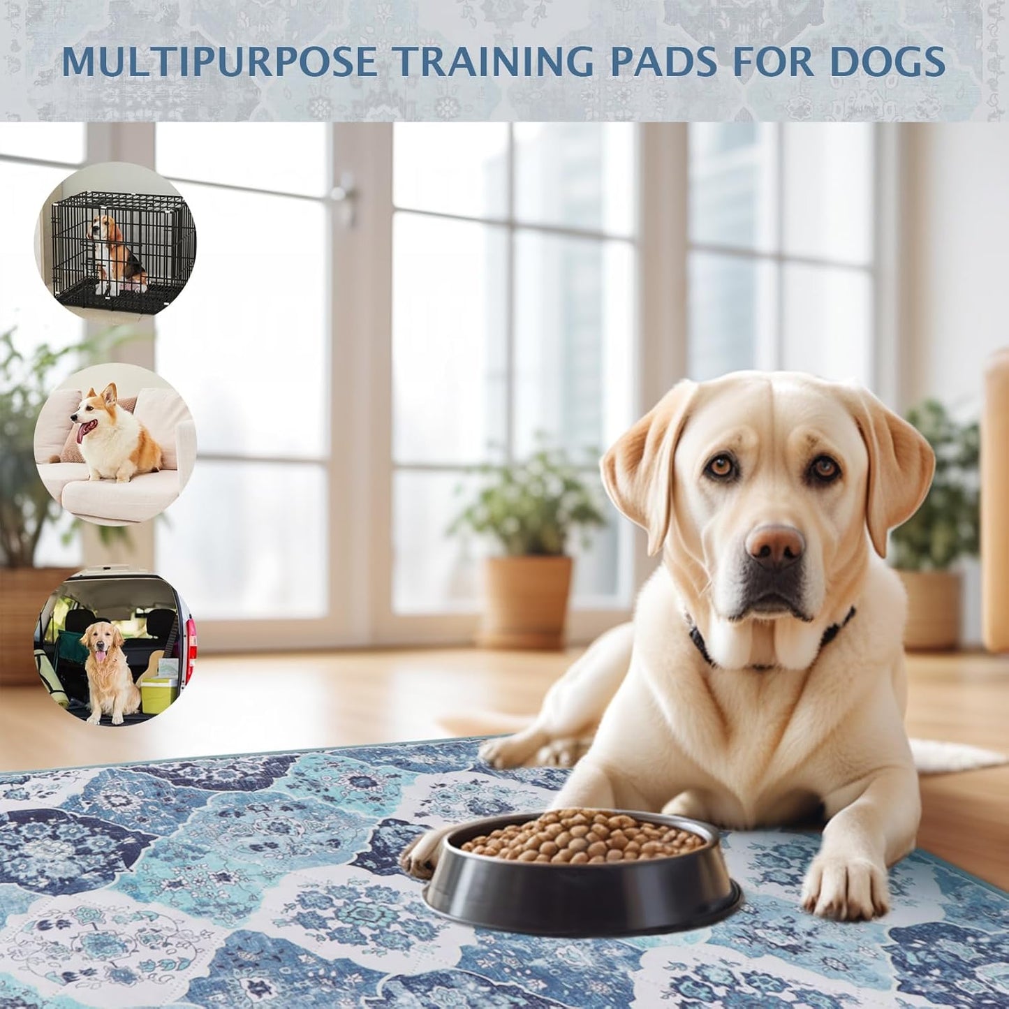 IEUUMLER Washable Pee Pads for Dogs, 1 Pack Reusable Non-Slip Grip, Super Absorbent Waterproof Puppy Pads for Potty Training, Playpen, Crate, Whelping Box EU011 (Blue, 48" x 48")