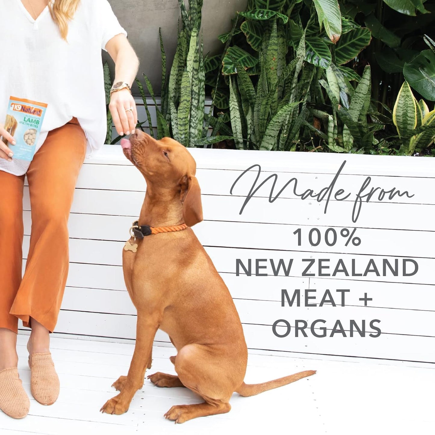 K9 Natural, Freeze-Dried Single Ingredient Dog Treats, High-Value, Low-Calorie Protein Bites for Active Dogs, Healthy Dog Training Treats, Grain-Free Reward, Lamb & Organs, 1.76oz (Pack of 2)