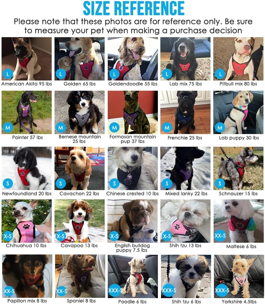 Lukovee Dog Seat Belt for Car, Adjustable Dog Car Harness for Large Medium Small Dogs, Soft Padded & Breathable Mesh Dog Seatbelt with Car Vehicle Connector Strap (Purple,XXX-Small)