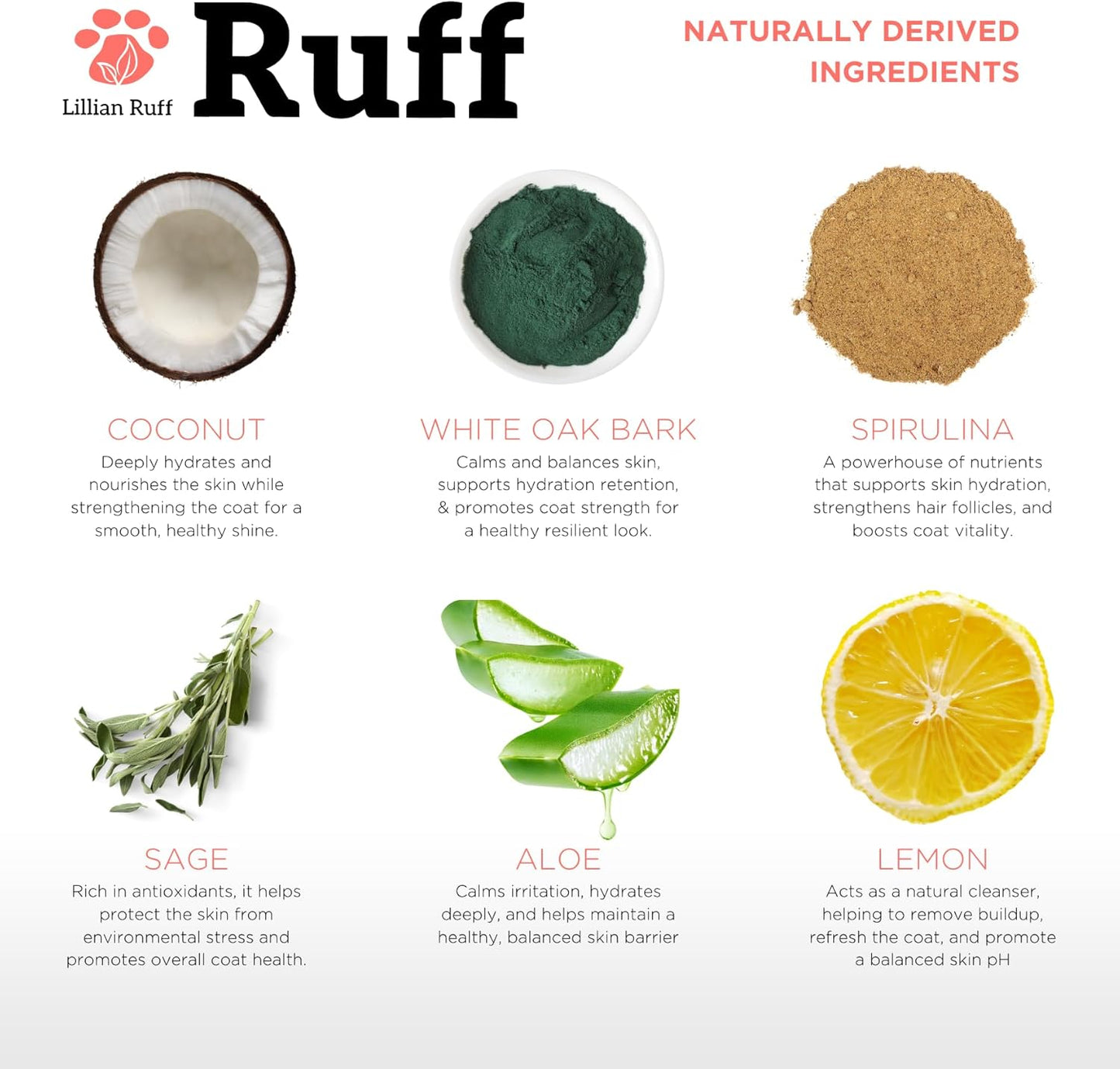 Ruff by Lillian Ruff No-Rinse Waterless Dog Shampoo Spray | Sandalwood Amber | Pet Deodorizer | for Cleaning, Conditioning, Detangling & Moisturizing Dogs & Cats | Safe for Puppies | USA Made