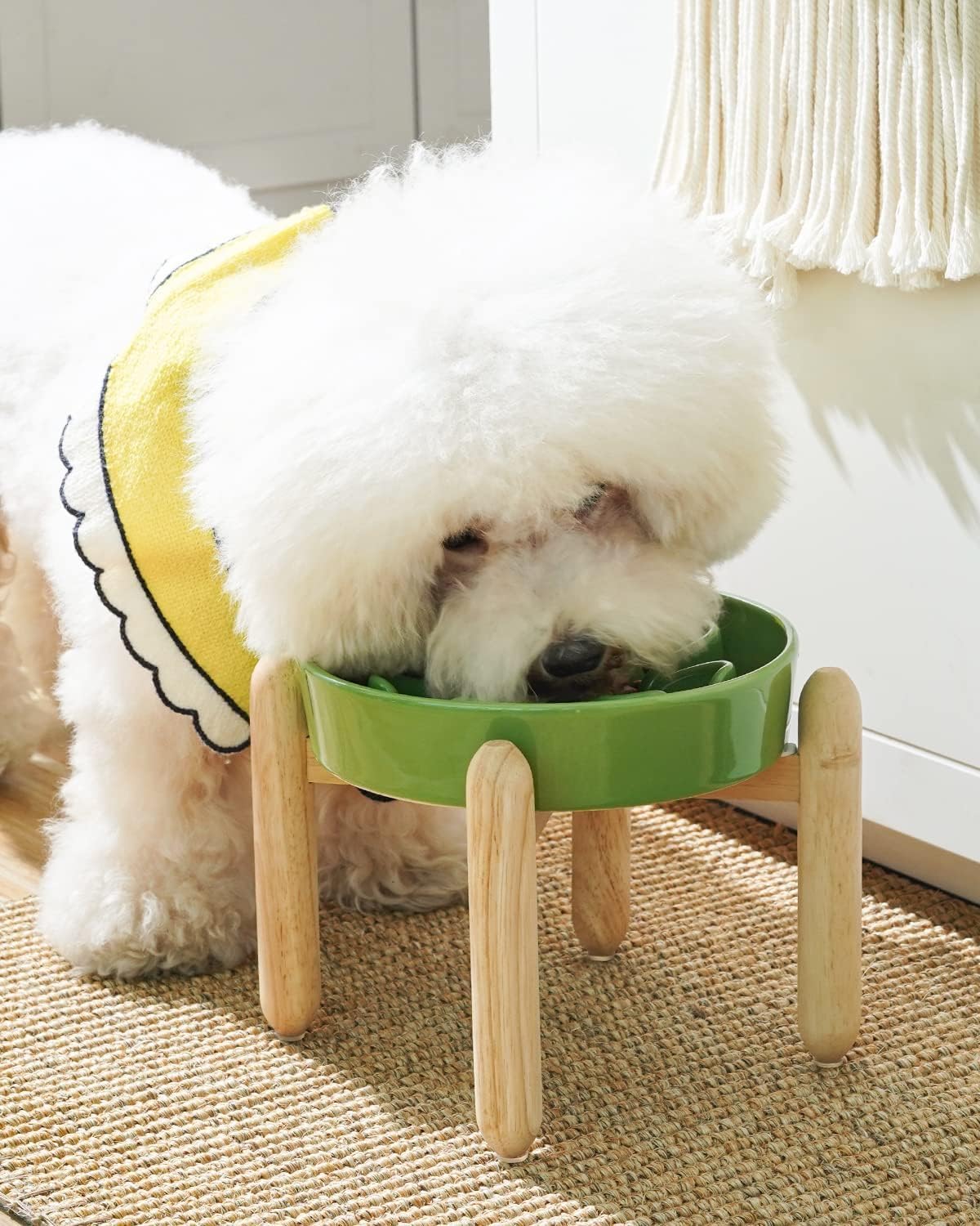 LE TAUCI Ceramic Slow Feed Dog Bowls, Elevated for Small Breeds, Anti-Gulping, Non-Slip, 6 inch, Green