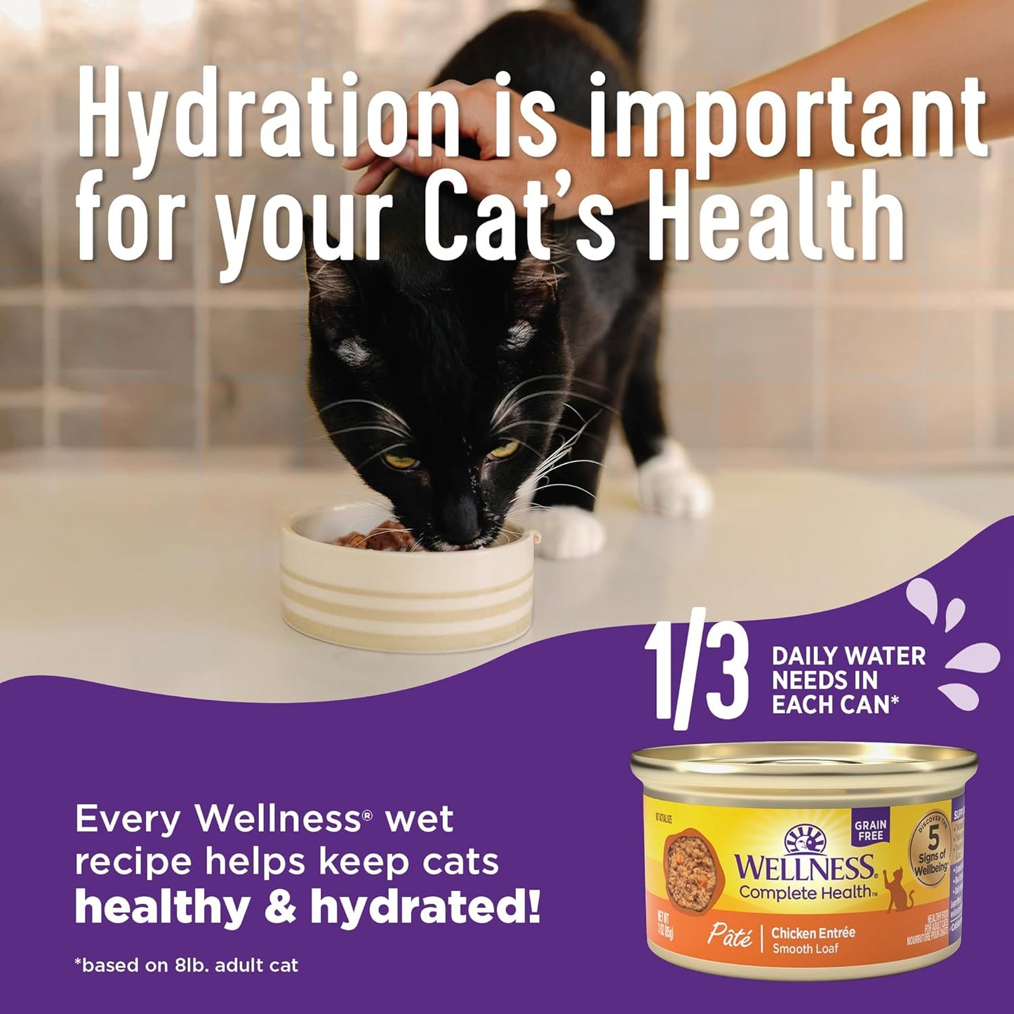 Wellness Complete Health Pate Adult Wet Cat Food, Natural, Protein-Rich, Grain Free, 3 Ounce, 24 Pack, (Beef & Salmon)