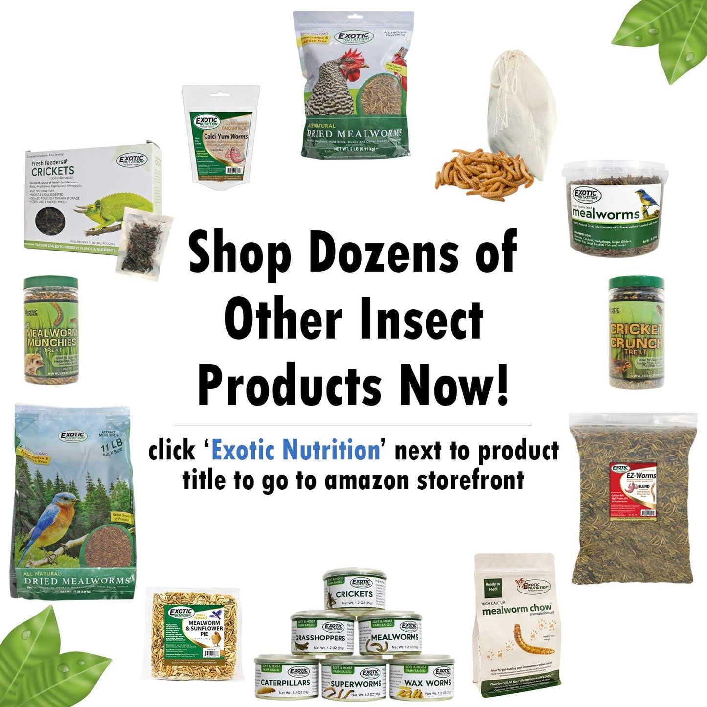 Canned Wax Worms (1.2 oz.) - Healthy High Protein Insect Treat - Hedgehogs, Sugar Gliders, Reptiles, Wild Birds, Chickens, Lizards, Bearded Dragons, Skunks, Opossums, Fish, Amphibians, Turtles