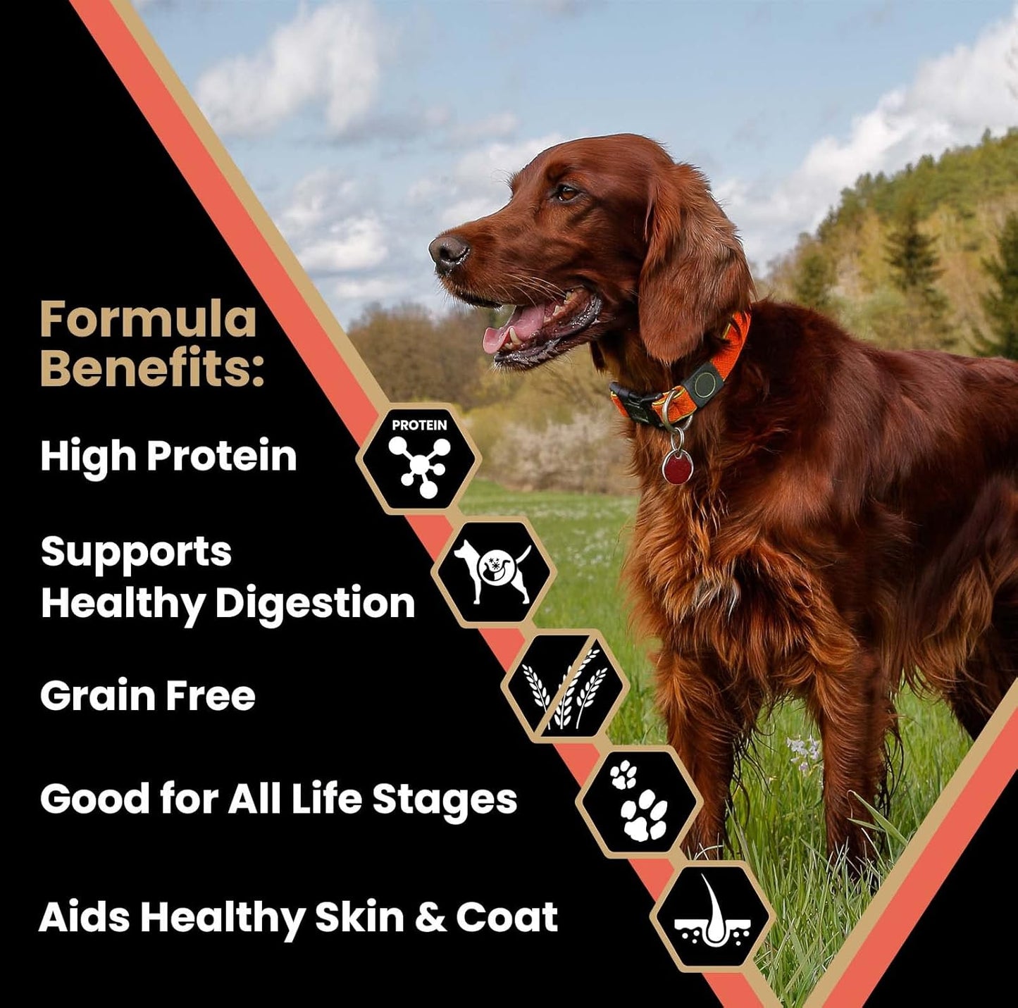 VICTOR Super Premium Dog Food – Grain Free Yukon River Canine – Supports Immune & Digestive Health for Dogs of All Life Stages – High Protein Dry Dog Food for All Normally Active Dogs, 30 lb