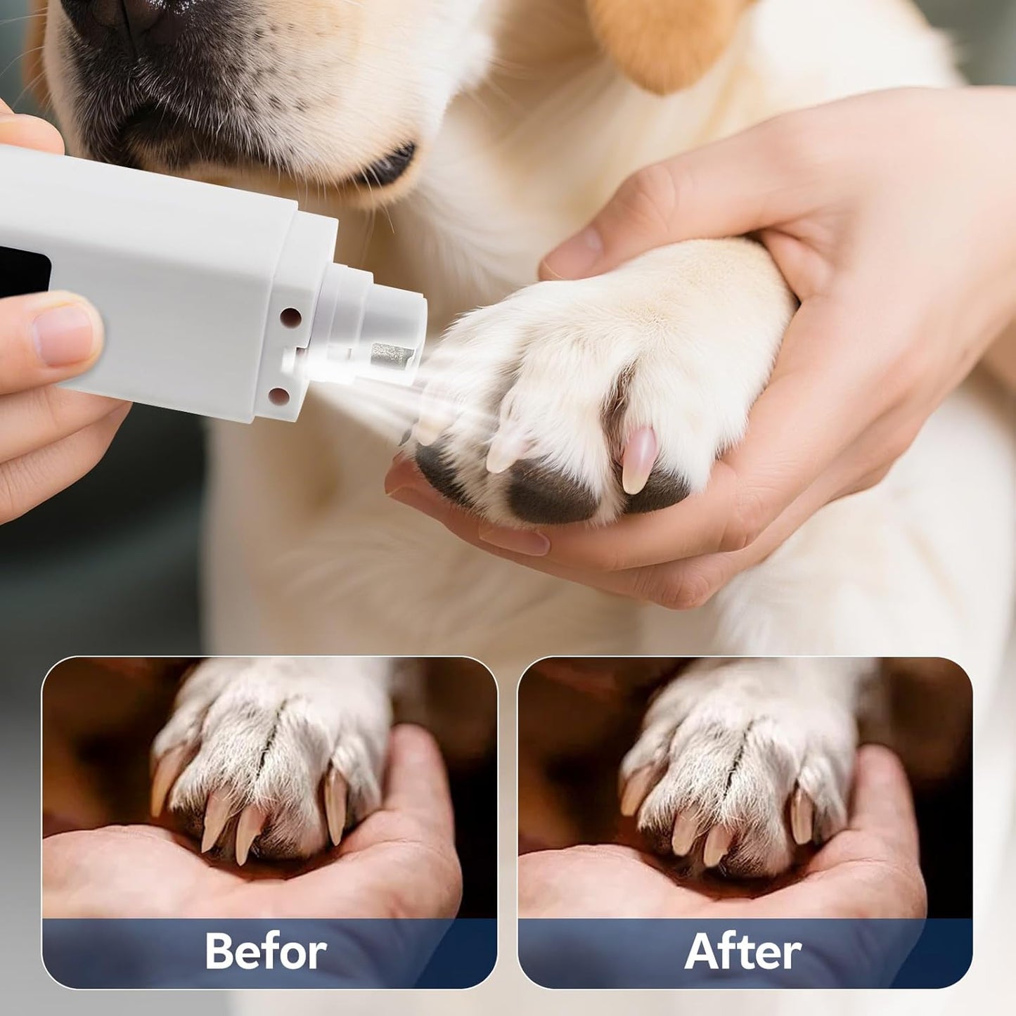 Dog Nail Grinder with 4-Speeds,Pet Claw Trimmers with 2 Modes Lighting UV, Nail Clippers for Small Medium and Large Dogs and Cats, Animal Nail Care,Grooming (White)