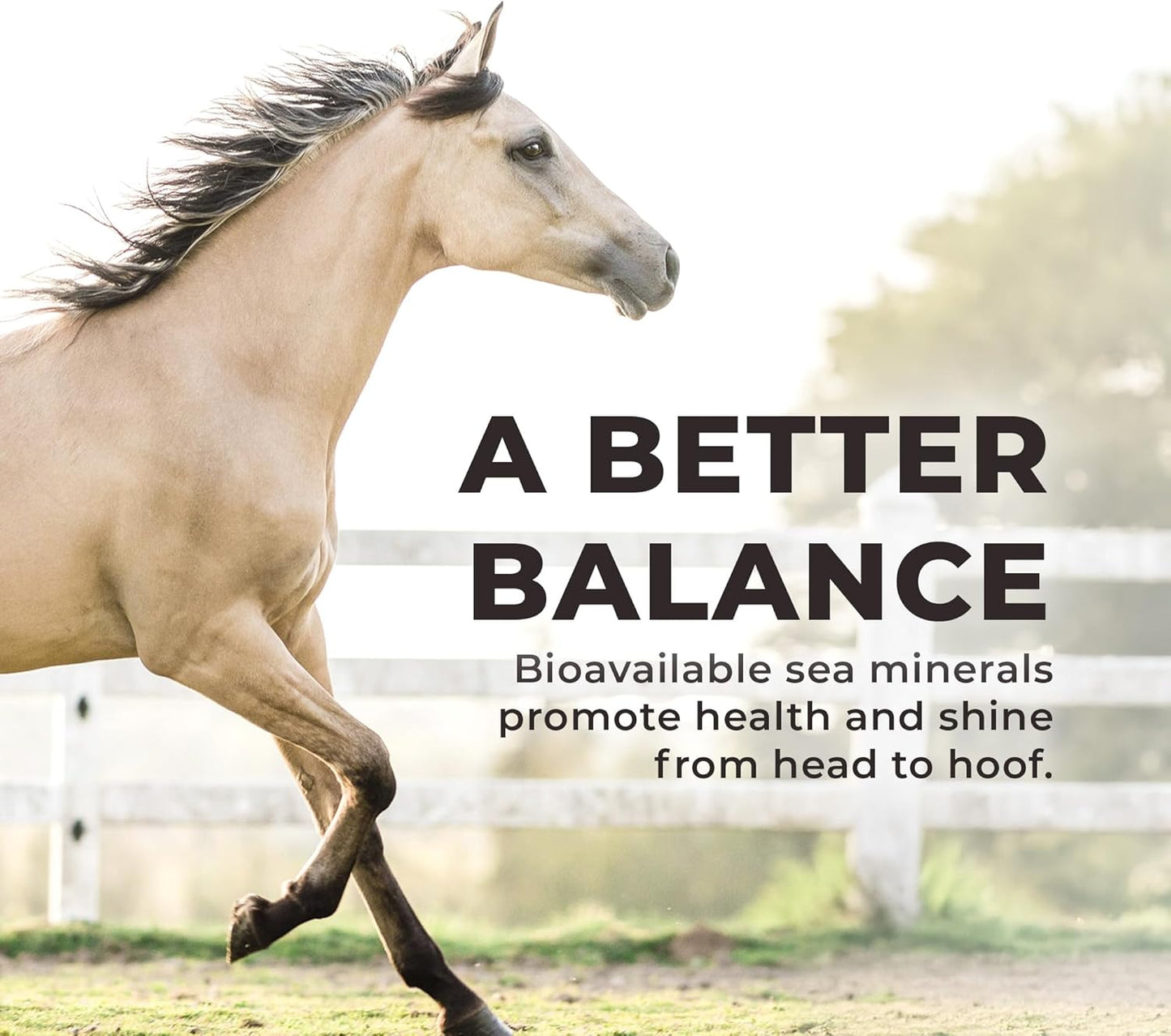 Daily Red Complete Wellness, Fortified Mineral Mix Supplement for Horses, 25lb Bucket