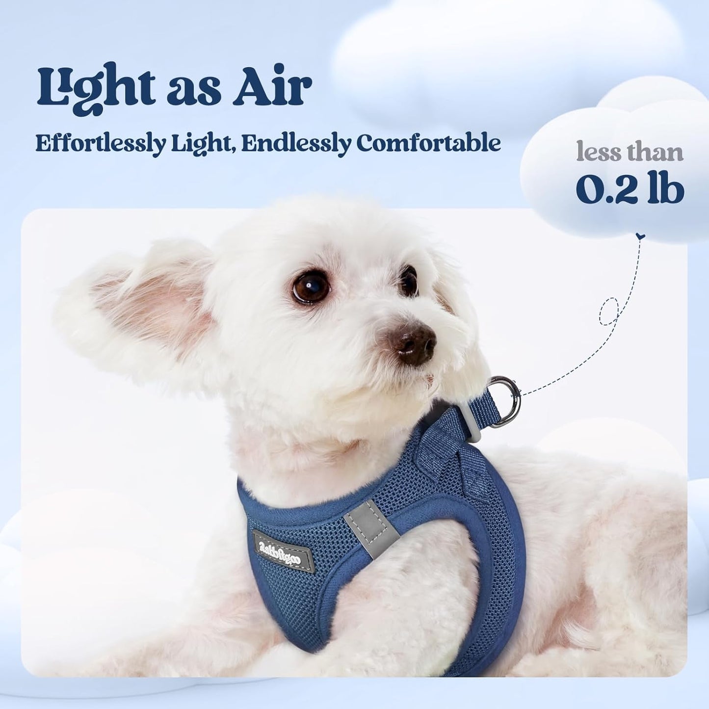 rabbitgoo Dog Harness Small Sized and Leash Set, Step in Soft Light Puppy Vest, Breathable Mesh Pet Harness, Reflective for Outdoor Safe Walking, Navy Blue XL