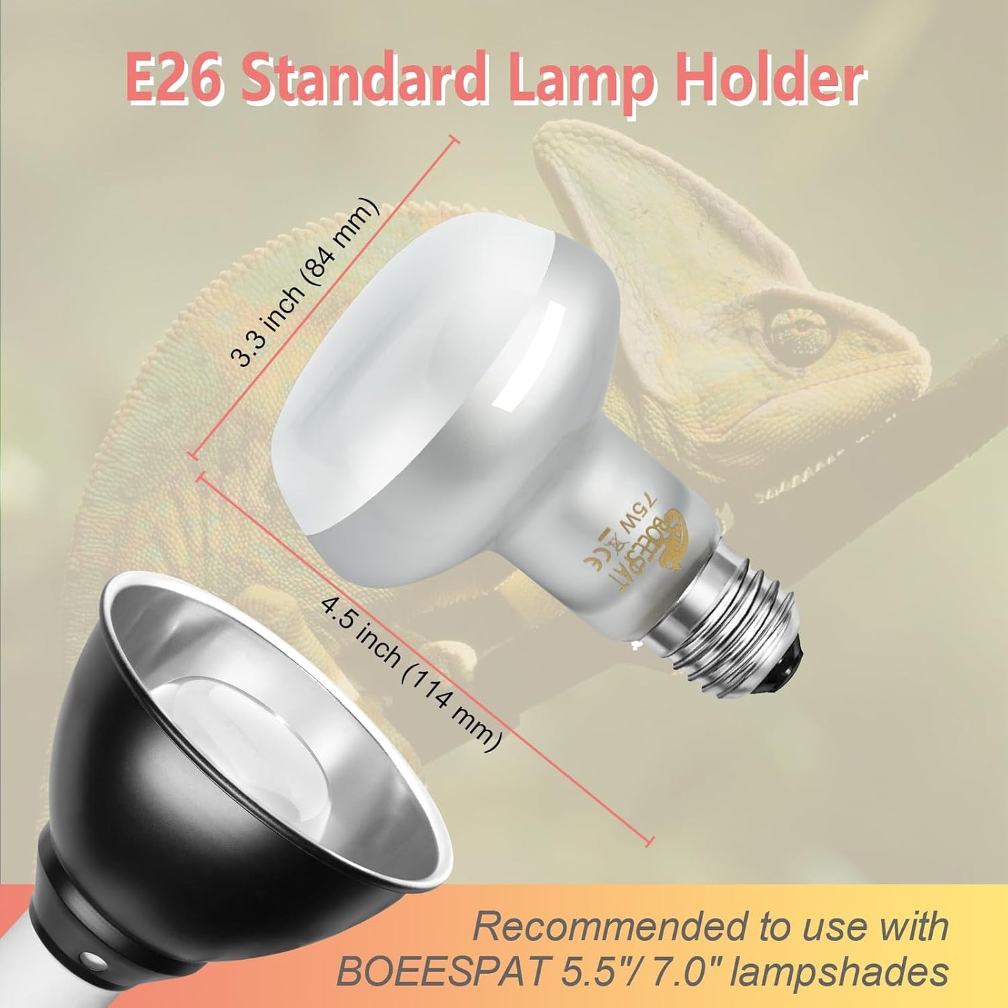 Intense 75W UVA Daylight Heat Lamp Bulbs for Basking - Simulated Sunlight Perfect for Desert-Dwelling Reptiles and Amphibians Like Bearded Dragons, Geckos, Iguanas, Lizards, (Pack of 2)