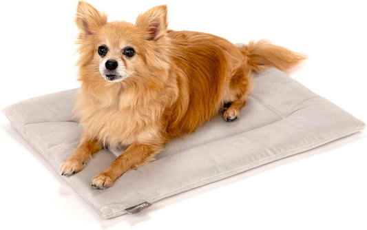 KindTail Dog Crate Pad - Soft Velvet, Reversible Bed - Machine Washable Kennel Mat for Pets up to 15 lbs, Mattress for Cozy Sleeping - 20” x 15” x 1” (Light Grey, Small)