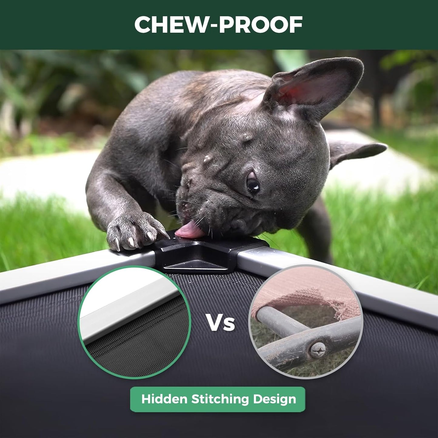 FXW TitanNest Chew-Proof Elevated Dog Bed, Raised Cot for Indoor/Outdoor/Camping Use, Durable & Waterproof Cooling Pet Bed for Large Dogs, 50.0" L x 31.0" W x 7.3" H, Black