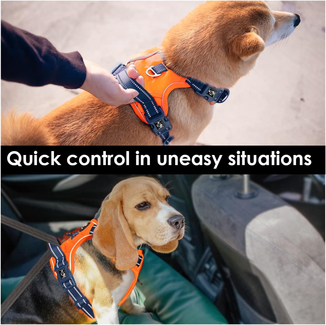 PHOEPET No Pull Dog Harness, Unique Colors Reflective Adjustable Dog Vest, with Soft Training Handle Metal Clips for Small Medium Large Dogs (Orange Base & Blue Straps,S)