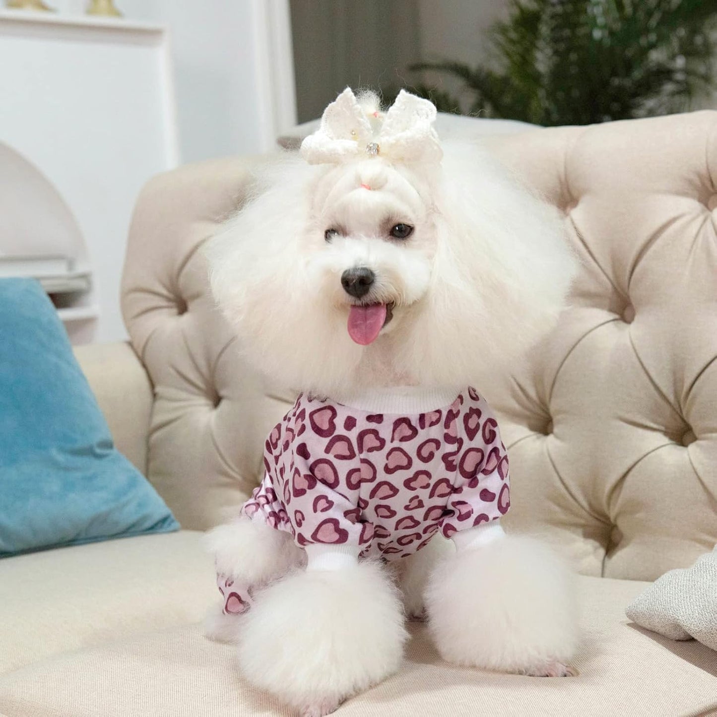 CuteBone Dog Halloween Pajamas Puppy Onesies Small Dogs Soft Pjs Coat Cat Apparel Comfy Pet Christmas Clothes Outfit Doggie Bodysuit P226S