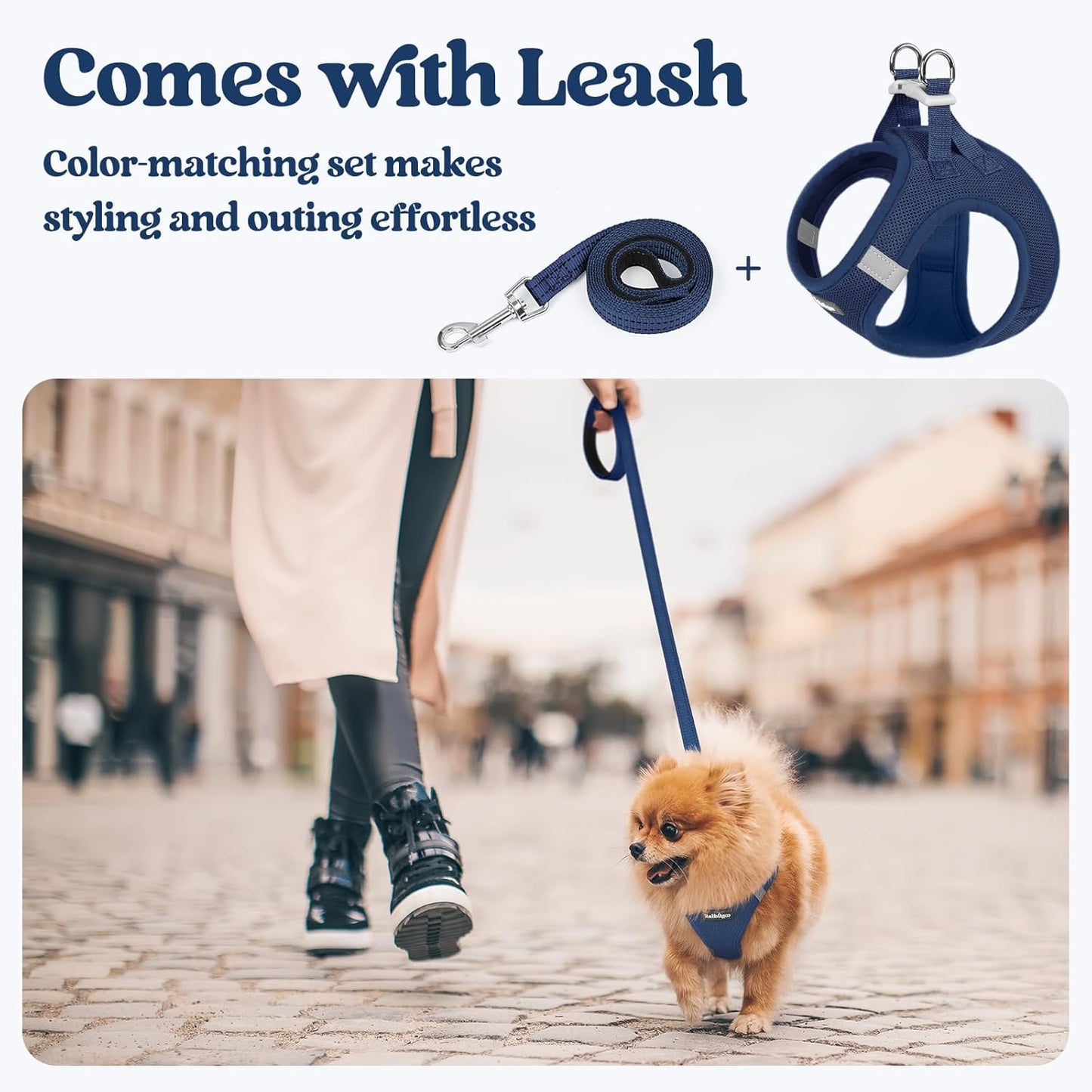 rabbitgoo Dog Harness Small Sized and Leash Set, Step in Soft Light Puppy Vest, Breathable Mesh Pet Harness, Reflective for Outdoor Safe Walking, Navy Blue XL