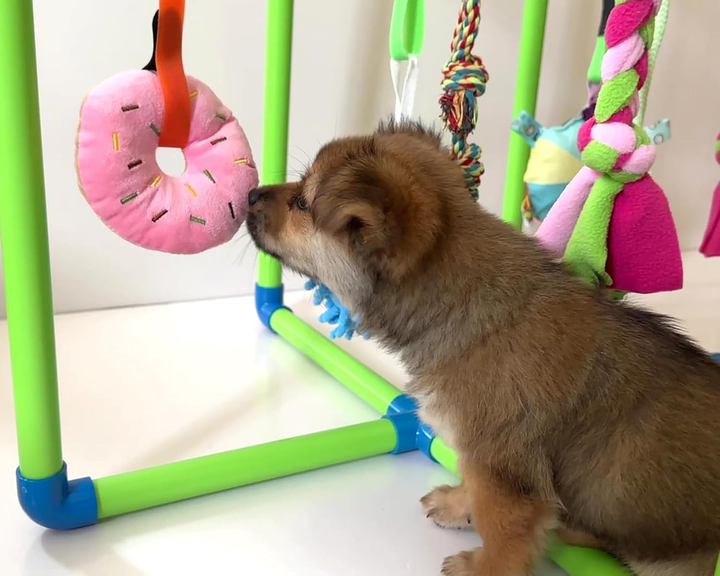 Puppy Play Gym - PVC Frame with 9 Hanging Toys for Small Dogs to Keep Them Busy, Dog Jungle Gym Center for Entertainment, Teething & Mental Stimulation