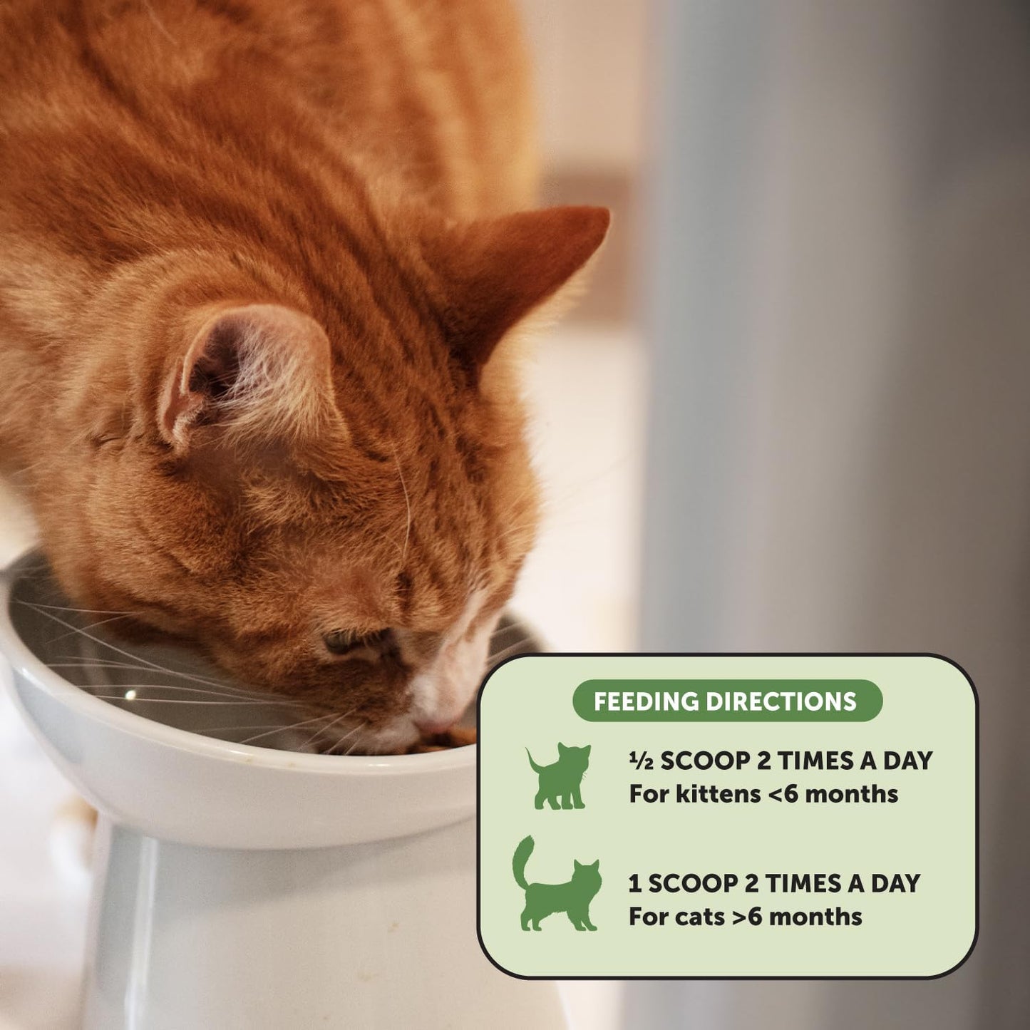 Digestive Probiotic Powder Supplement for Cats - Digestive Support + Gut Health, Probiotic for Cats, Cat Constipation Relief, Bowel Support, Immunity & Overall Health - 120 Scoops