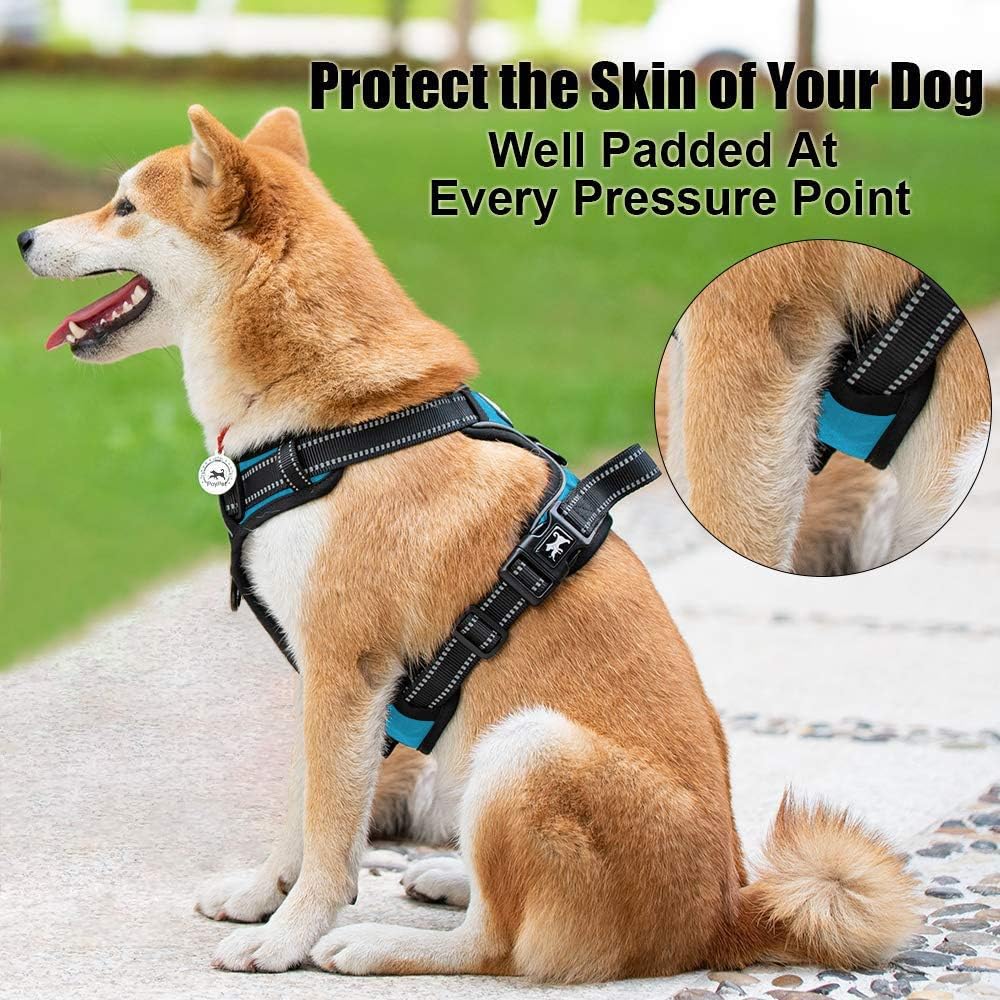 PoyPet No Pull Dog Harness, Reflective Comfortable Vest Harness with Front & Back 2 Leash Attachments and Easy Control Handle Adjustable Soft Padded Pet Vest for Small to Large Dogs (Blue,S)