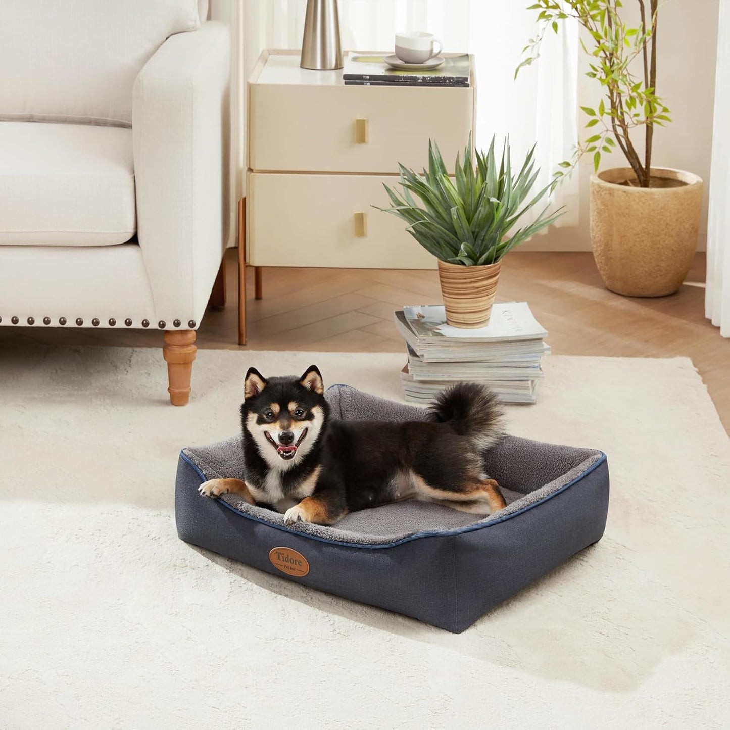 Orthopedic Dog Beds for Medium Dogs, Durable Egg Crate Foam Sofa Dog Bed wit Washable Removable Cover,Waterproof Lining,Pet Bed for Large Dogs (Navy Blue-Velvet, 26.4" L x 21.7" W x 6.2" Th)