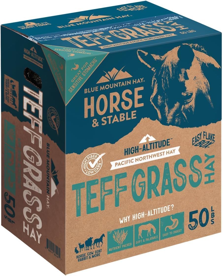 Blue Mountain Hay High-Altitude Teff Grass Hay, 50lb Easy Flake Box - Low NSC & High Fiber for Easy Digestion and Weight Management - Ideal for Horses, Goats, Rabbits, Guinea Pigs & Other Small Pets