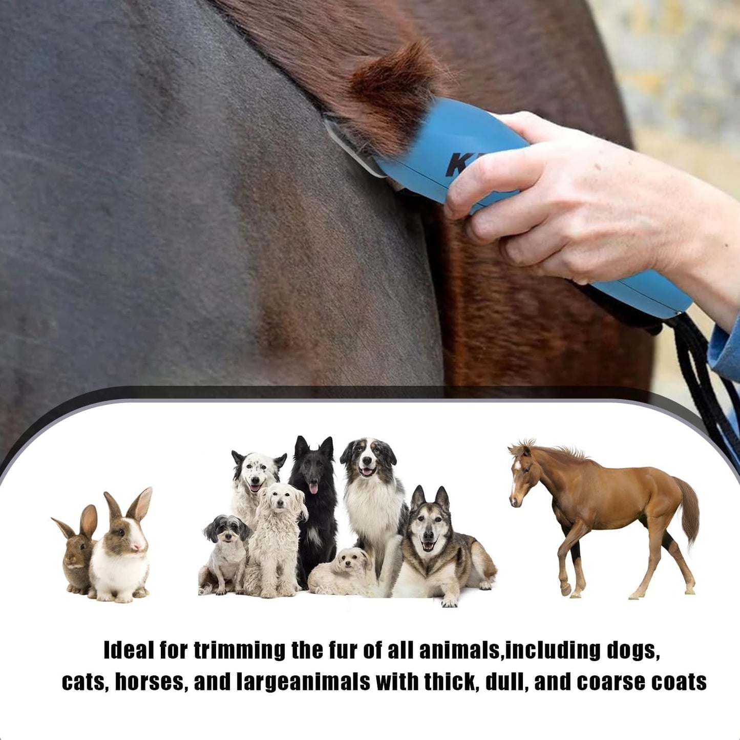 5PCS Wide Blades for Dog Grooming Blades Compatible with Andis Dog Clipper,Dog Clipper Blades for Oster A5,Wahl km10 Dog Clippers Stainless Steel for Animal Dog,Cat,Horse,Size:#10W+30W+4FW+5FW+7FW