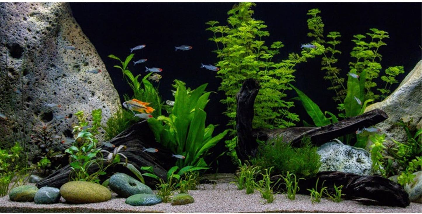 AWERT Vinyl Underwater Aquatic Plant Fish Tank Background Stone River Bed & Lake Aquarium Background 72x18 inches