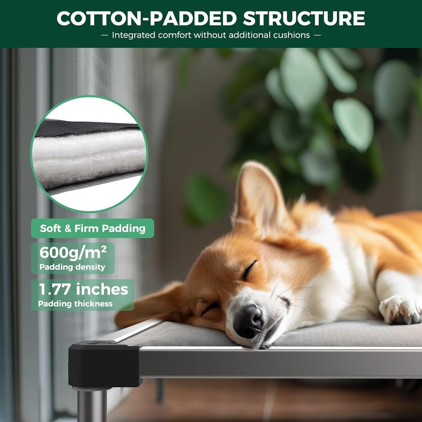 FXW TitanNest Chew-Proof Elevated Dog Bed, Raised Cot for Indoor/Outdoor/Camping Use, Durable & Washable Padded Pet Bed for Medium Dogs, 41.0" L x 27.0" W x 5.0" H, Gray