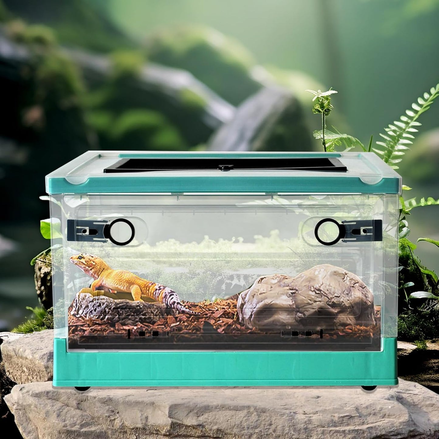 PINVNBY Plastic Reptile Feeding Box with Wheels,Reptiles Breeding Enclosure Cages Transparent Amphibians Habitat Terrarium Tank Portable Transport Container for Lizard,Bearded Dragon(Blue)