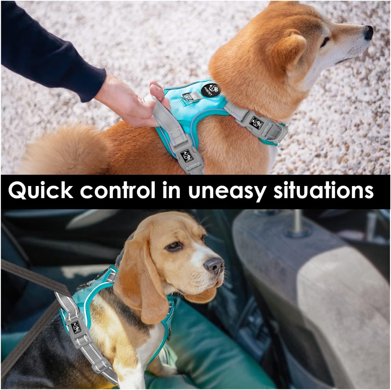 PHOEPET No Pull Dog Harness, Unique Colors Reflective Adjustable Dog Vest, with Soft Training Handle Metal Clips for Small Medium Large Dogs (Mint Green Base & Grey Straps,L)