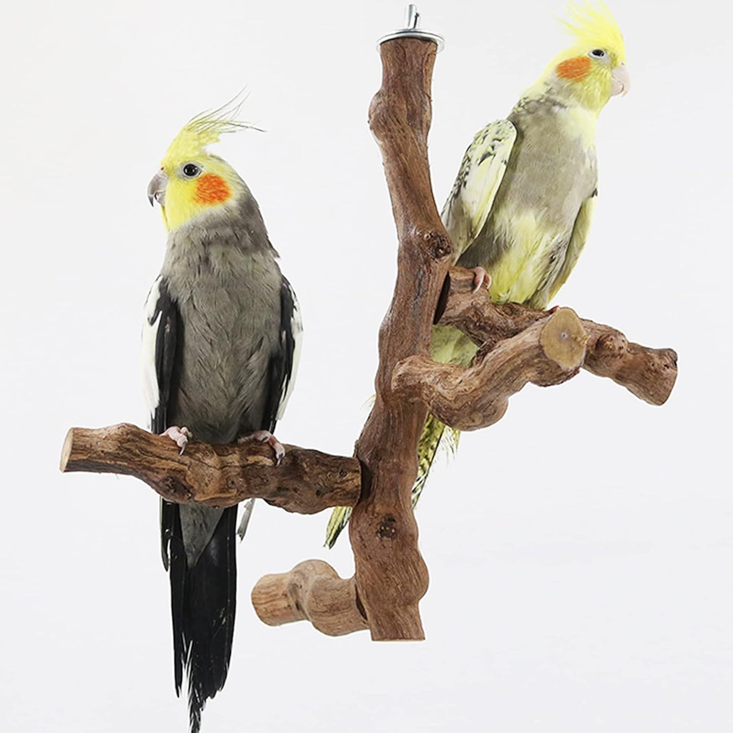 Allazone Bird Perch Natural with Chewing Toys Natural Grapevine Bird Stand Grape Stick Natural Bird Parrot Perch Standfor Parrots, Parakeets Cockatiels, Conures, Macaws, Love Birds (Style 1)