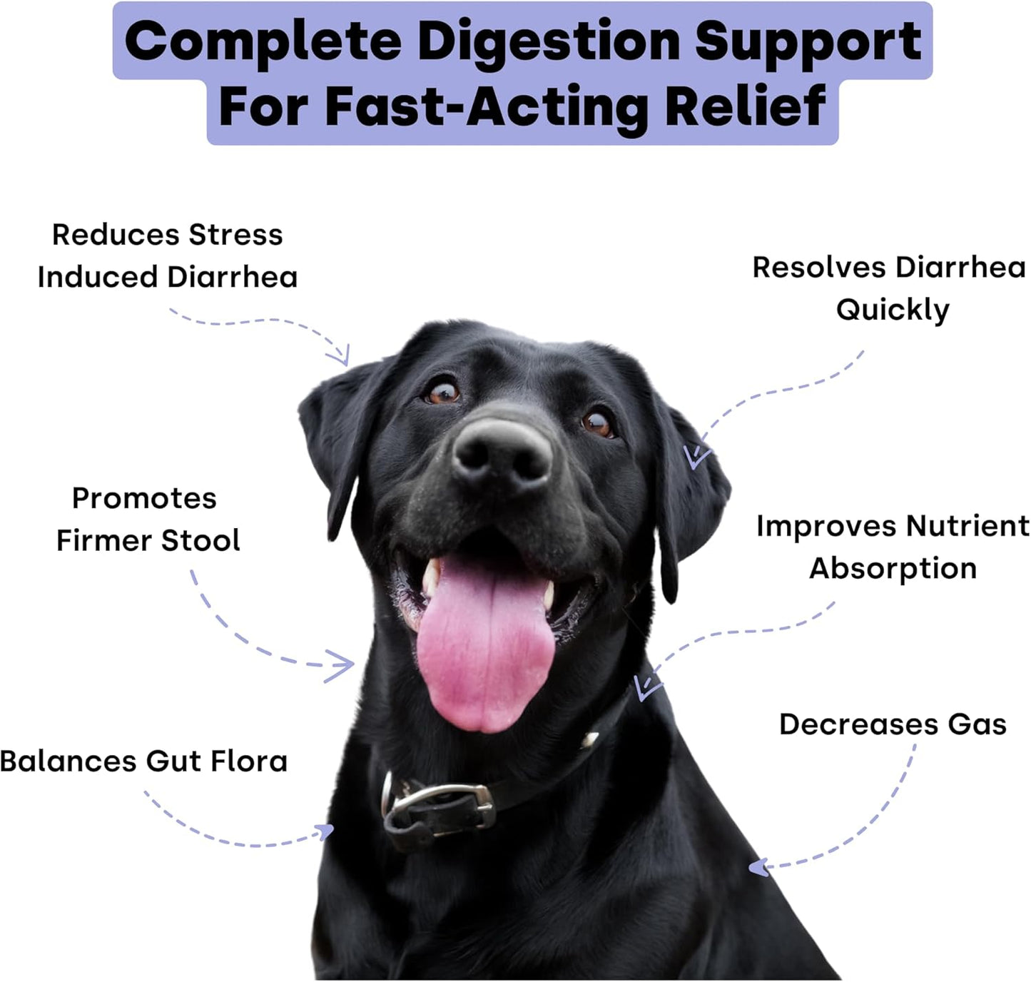 Kayode Ultimate Digestion. Fast Facting Anti Diarrhea for Dogs. Dog Fart Remedy & Dog Gas Relief. Natural Nutrients for Healthier, Firmer Stools. Pumpkin & Digestive Enzymes for Dogs.