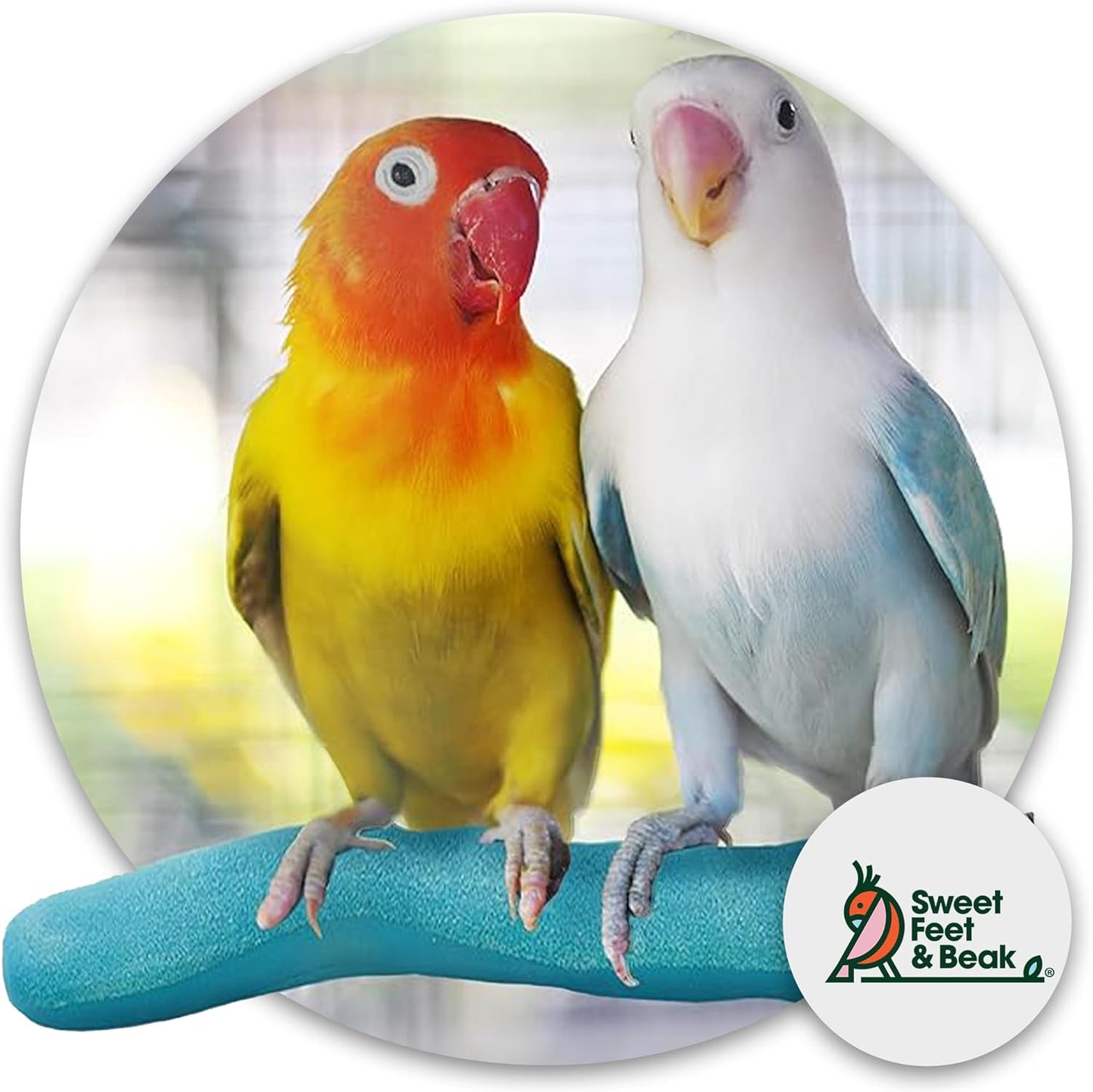 Sweet Feet & Beak Safety Pumice Bird Perch, X-Small 1/2" X 6", Green - Lightweight Grinding Bird Perches for Cage - Bird Nail Trimming Perch for Healthy Beak & Feet - Multi-Size & Color Parrot Stand