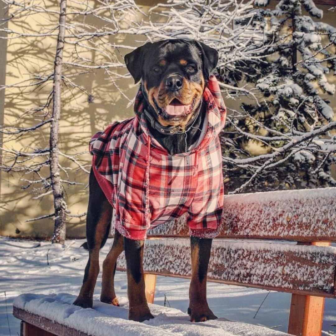 Spark Paws Dog Hoodie – Premium Dog Sweater for Small, Medium, and Large Dogs | Warm Outfits for French Bulldogs, Pitbull, Puppy, Winter Jacket Alternative - Red Plaid, 3XL