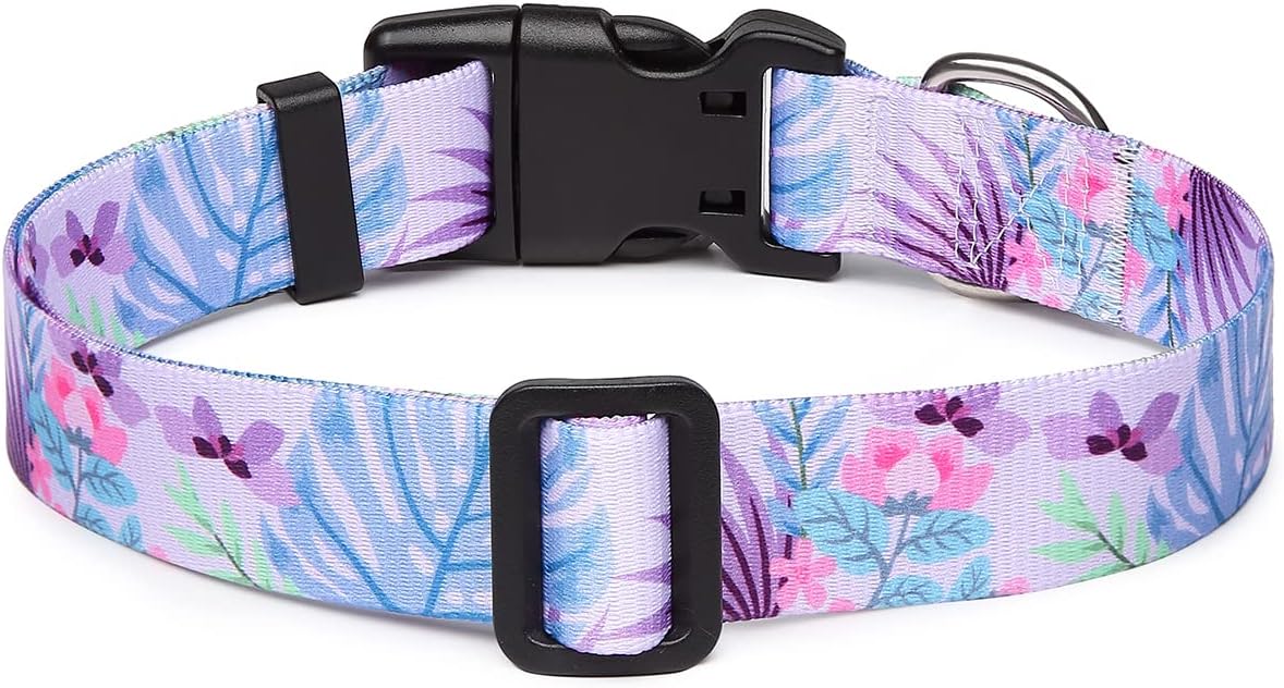 Mercano Adjustable Dog Collar - Special Design Patterns, Soft Nylon Comfortable Sturdy Pet Collar for Small Medium Large Dogs (M, Floral Purple)