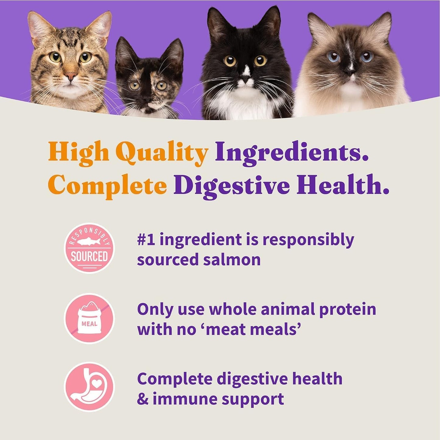 Halo Holistic Cat Food Wild Caught Salmon & Whitefish Formula, Healthy Grains Dry Cat Food, Complete Digestive Health, Kibble for Adult Cats, 6 lb Bag