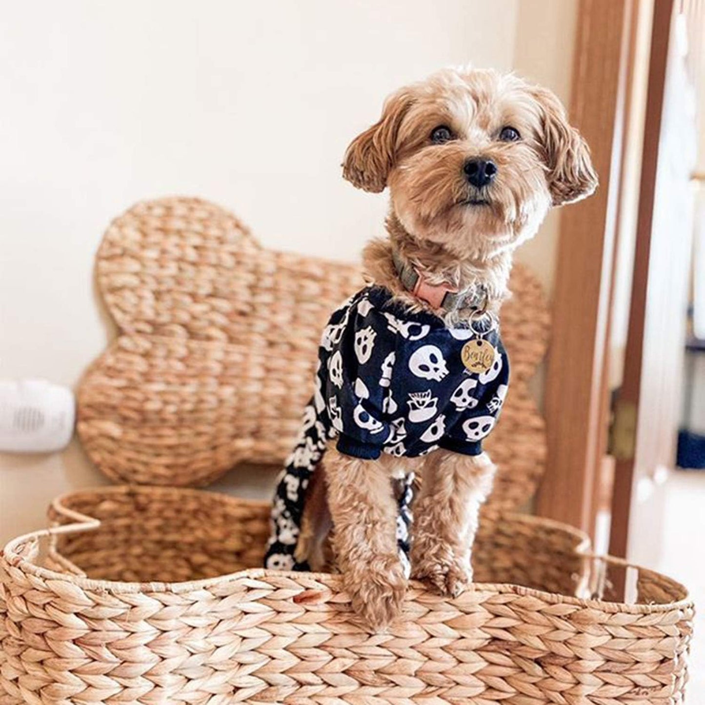 CuteBone Dog Halloween Pajamas Puppy Onesies Small Dogs Soft Pjs Coat Cat Apparel Comfy Pet Christmas Clothes Outfit Doggie Bodysuit P11L