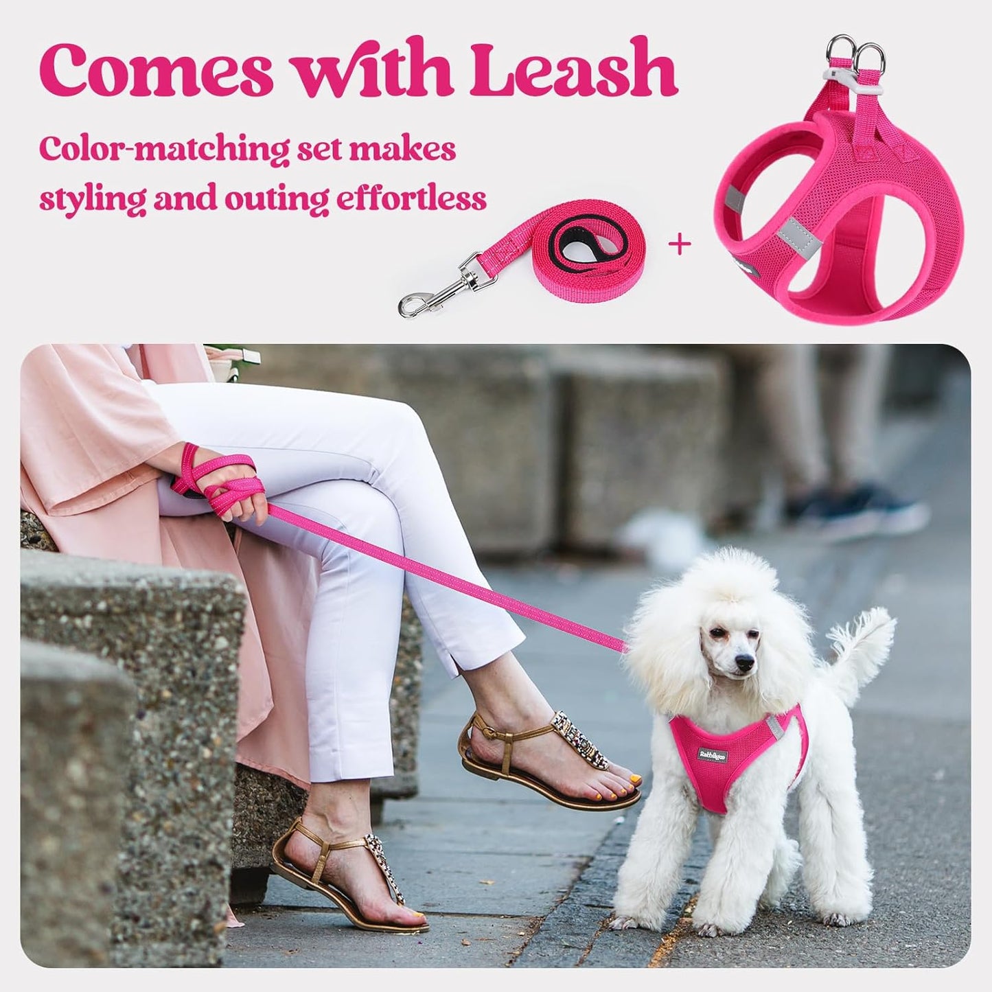 rabbitgoo Dog Harness Medium Sized and Leash Set, Step in Soft Light Puppy Vest, Breathable Mesh Pet Harness, Reflective for Safe Easy Walking, Rosa Red XXL