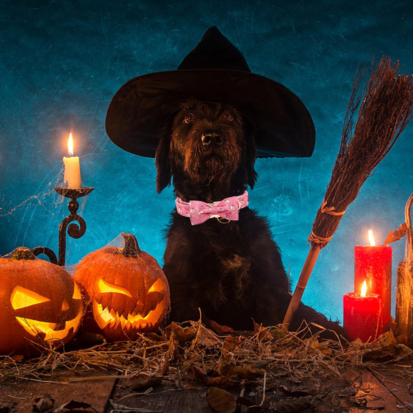 Elegant Little Tail Dog Collar with Bow, Adjustable Halloween Pumpkin Bowtie Pet Gift Collar for Small to Large Dogs