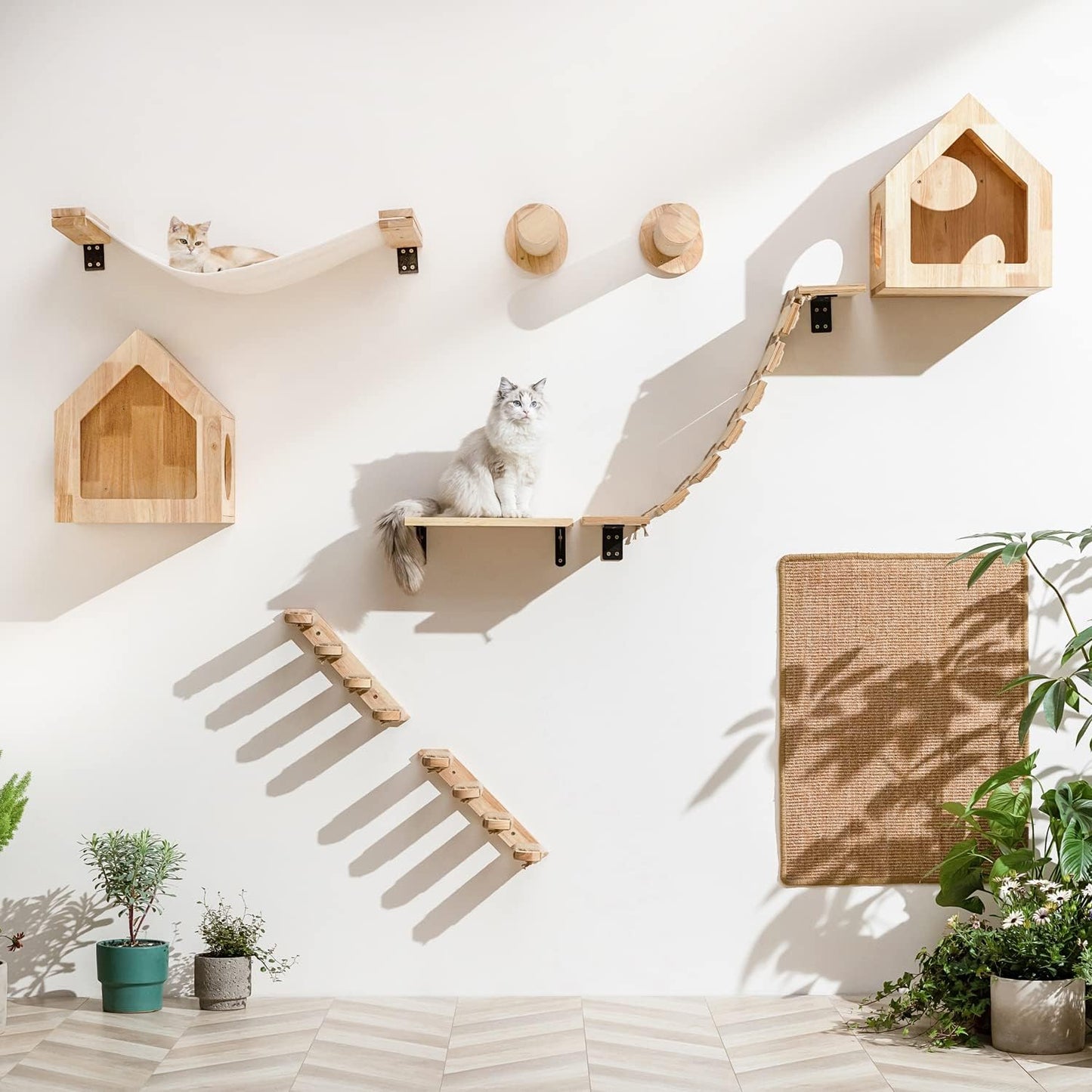 FUKUMARU Cat Wall Furniture, 2 PCS Climbing Shelves Set, Solid Rubber Wood Cat Shelf, Cats Perches for Wall Sleeping, Playing, Jumping and Lounging, 16 inch Drywall Installation