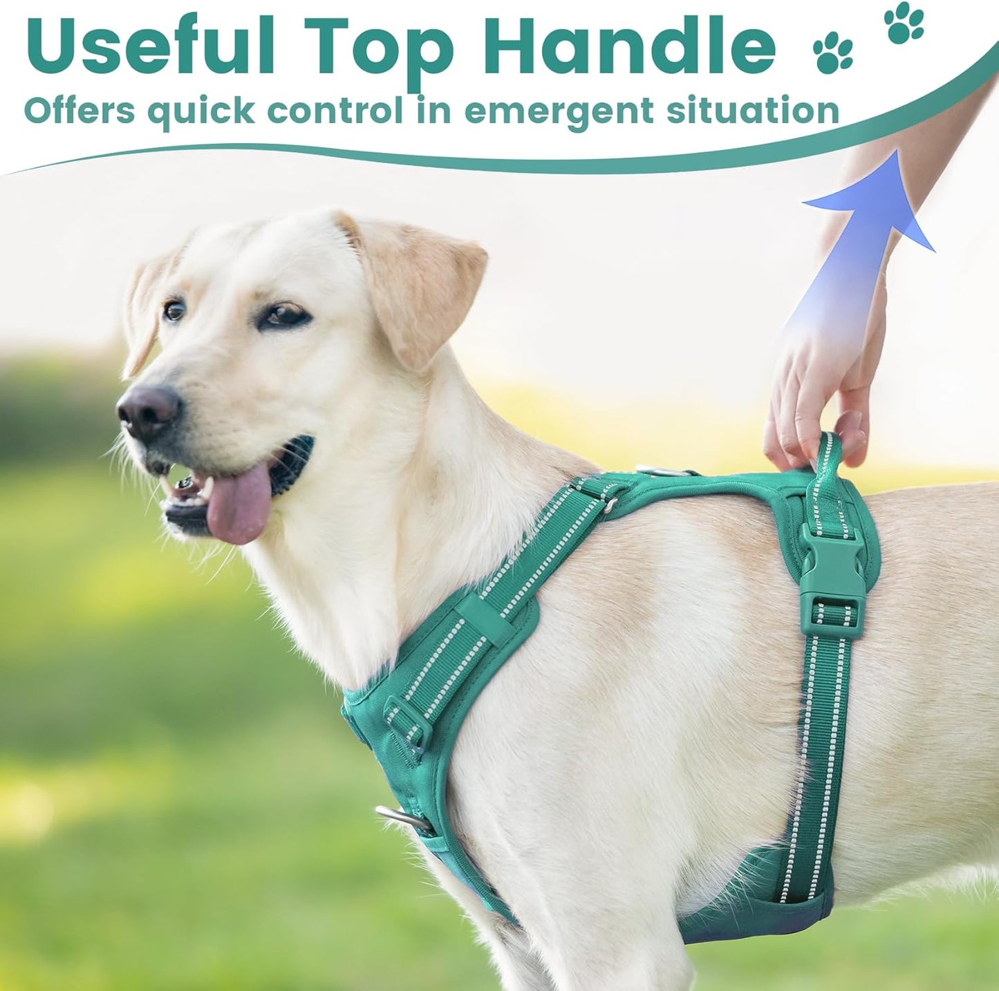 No Pull Dog Harness, Reflective Puppy Vest for Small Medium Large Sized Dog(MARRS Green,S)