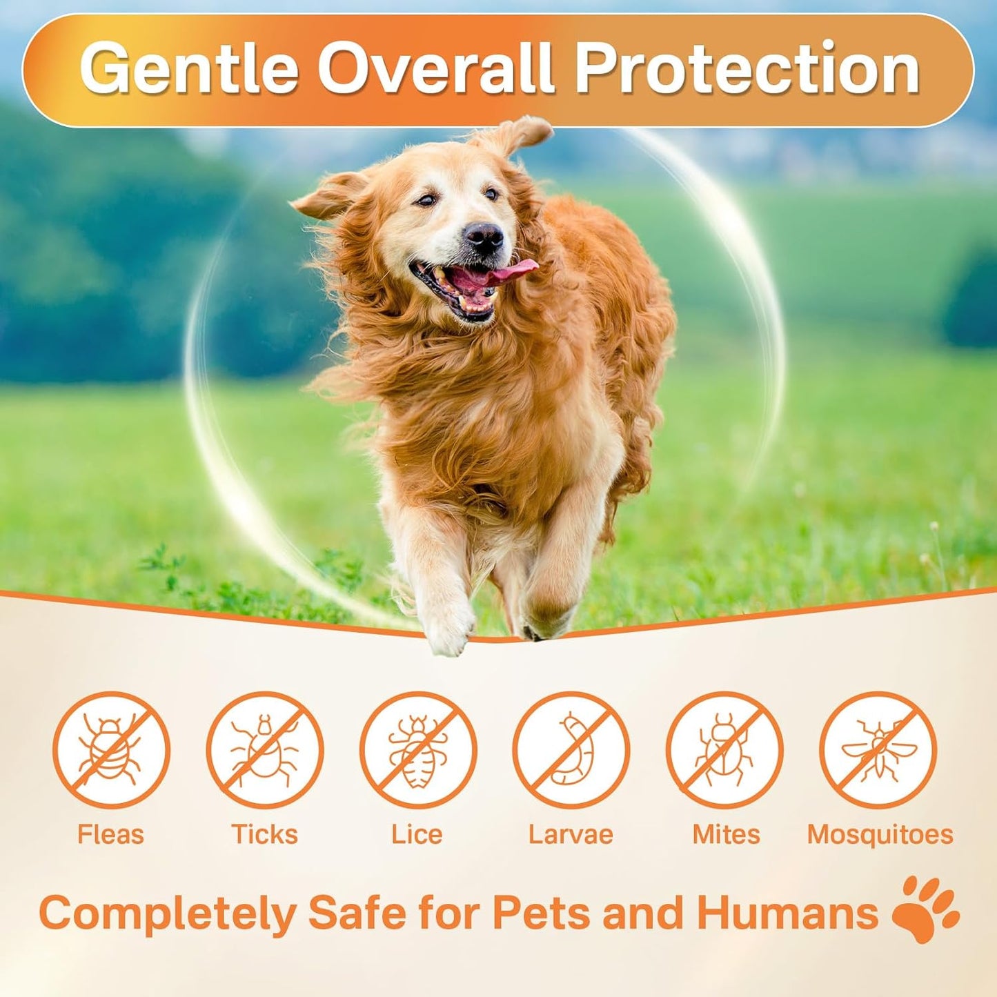 5-in-1 Dog Flea and Tick Treatment Chewable, Natural Flea and Tick Prevention for Dogs Chewable - Flea & Tick | Hip & Joint | Skin & Coat | Immunity Support | Digestive for All Breeds & Sizes