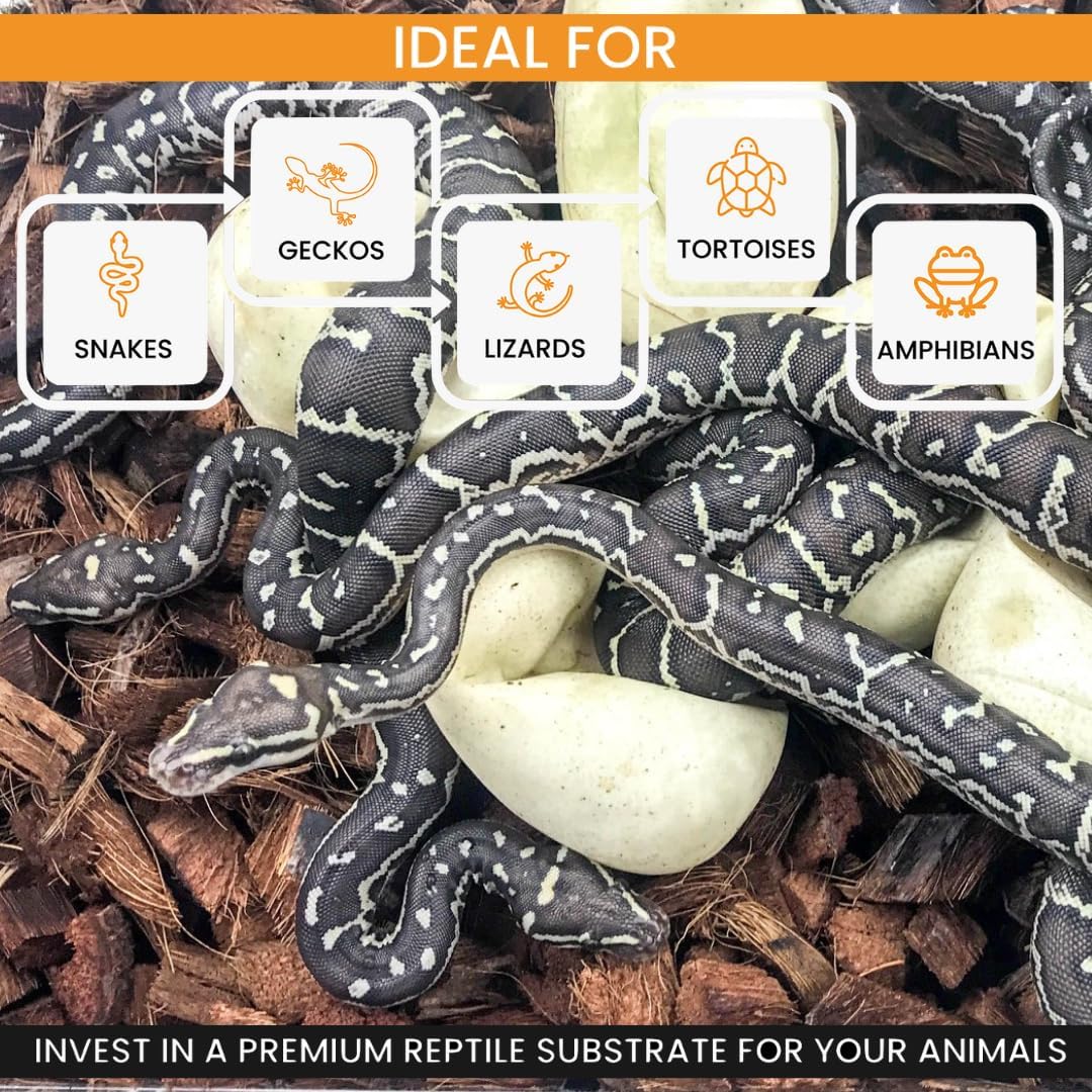 ReptiChip Reptile Bedding Loose Coconut Chip 36 Quart 4 Pack Coco Husk Substrate Mulch for Snake Habitat, Ball Python Terrarium, Turtle Tanks, Tortoise Enclosure
