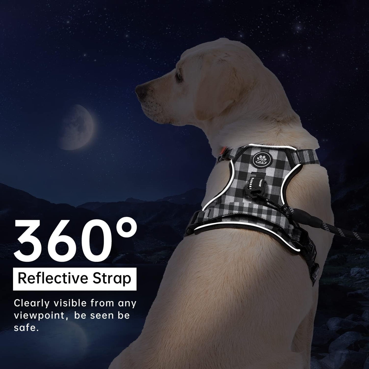 IVY&LANE No Pull Dog Harness with Leash Set, Reflective No Choke Pet Vest,Adjustable Oxford Dog Vest Harness with Easy Control Handle for Small Dogs (Checkered Black,S)