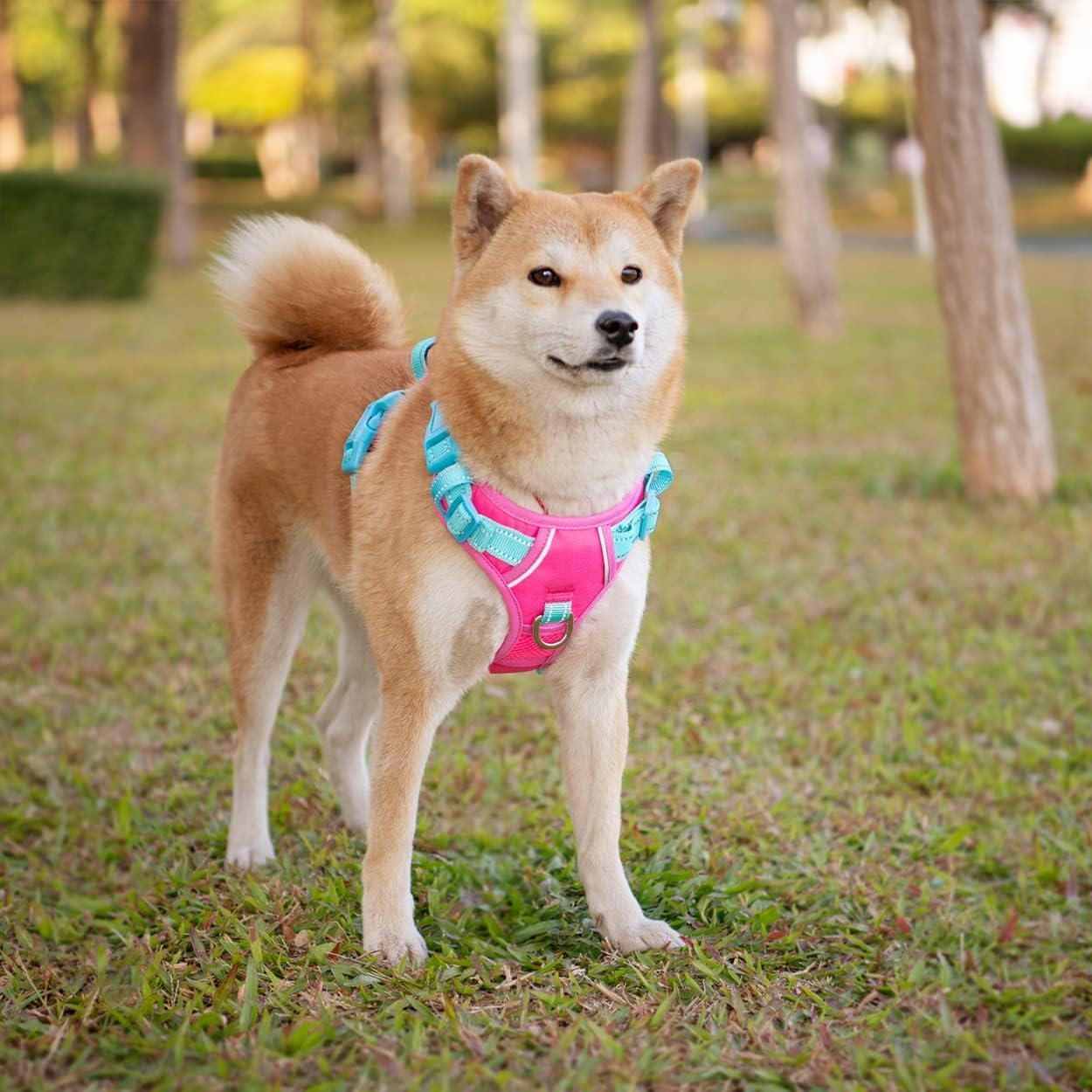 PHOEPET No Pull Dog Harness, Unique Colors Reflective Adjustable Dog Vest, with Soft Training Handle Metal Clips for Small Medium Large Dogs (Pink Base & Green Straps,L)
