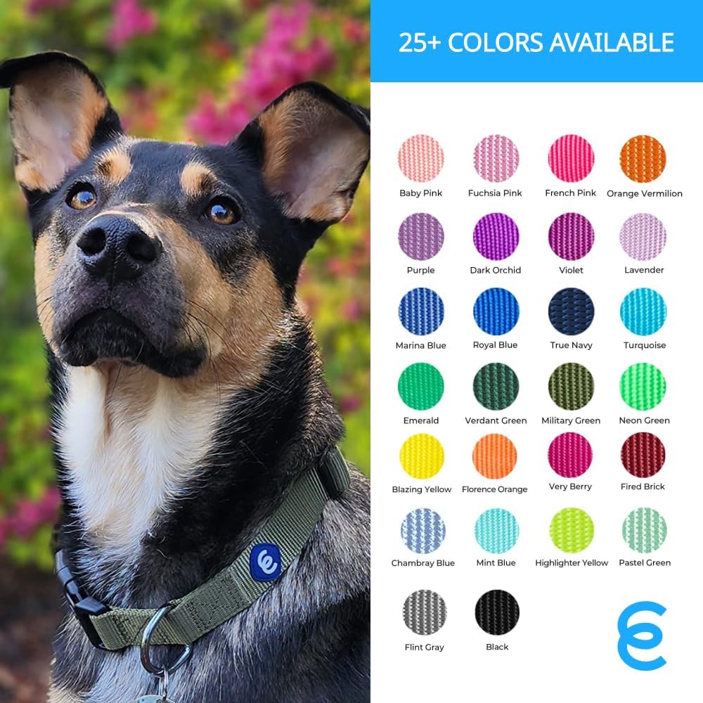 Blueberry Pet X-Small Adjustable Boy Dog Collar | for Male Dog, Durable & Quick Release for Pet Owners