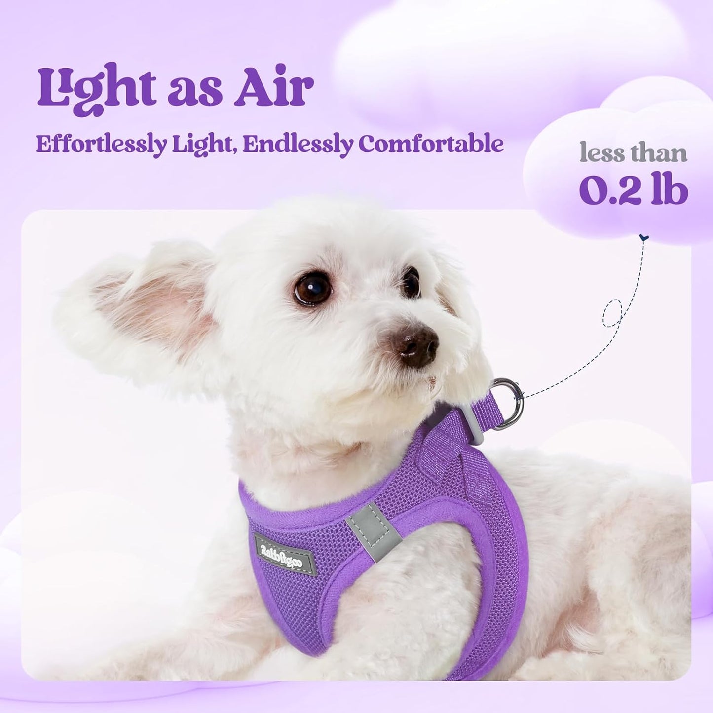 rabbitgoo Dog Harness Small Sized and Leash Set, Step in Soft Light Puppy Vest, Breathable Mesh Pet Harness, Reflective for Outdoor Safe Walking, Purple XL